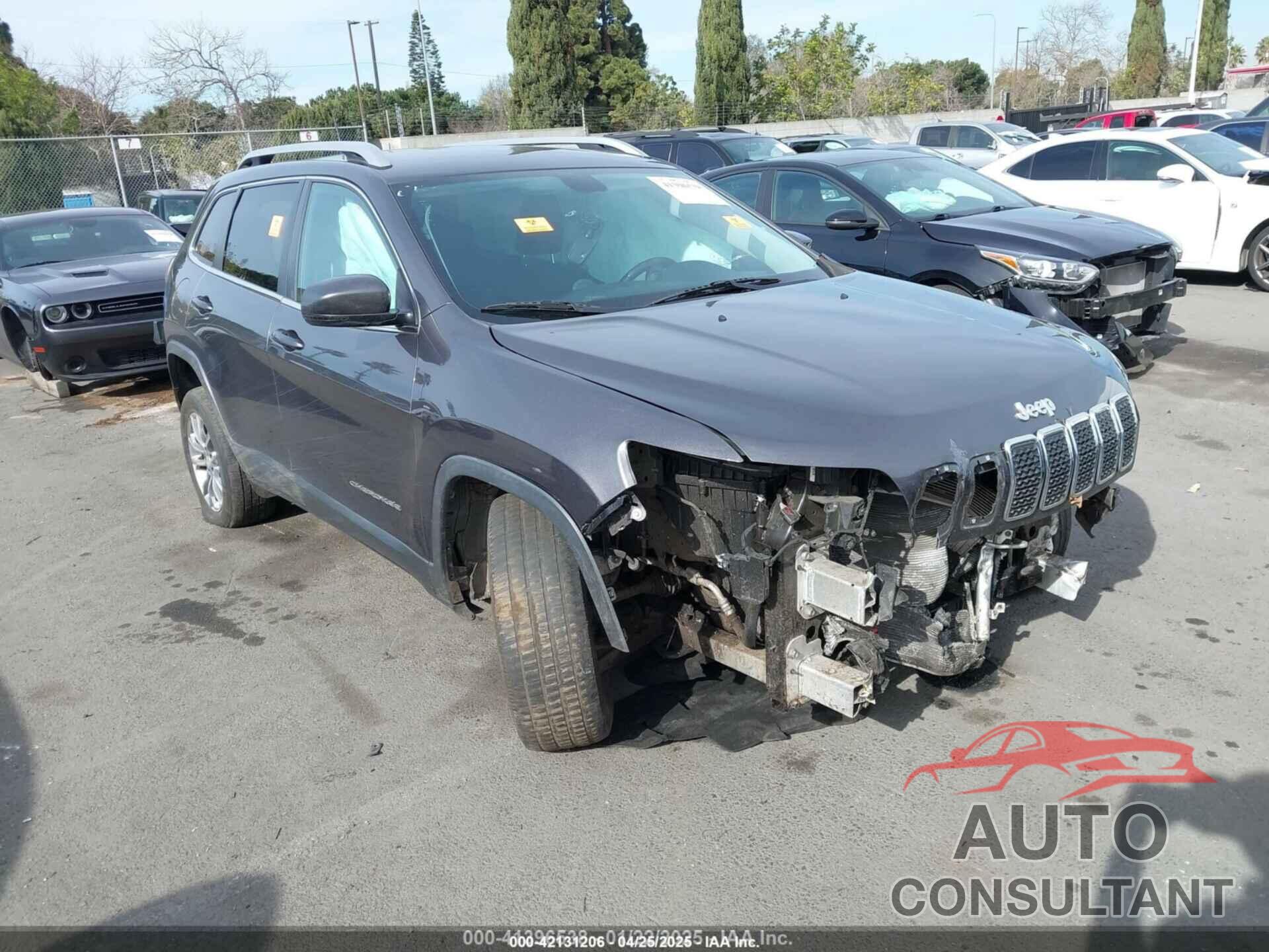 JEEP CHEROKEE 2019 - 1C4PJLLB1KD366846
