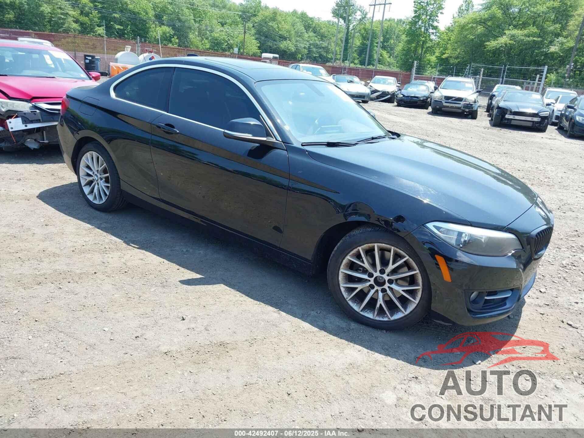 BMW 228I 2016 - WBA1G9C54GV599281