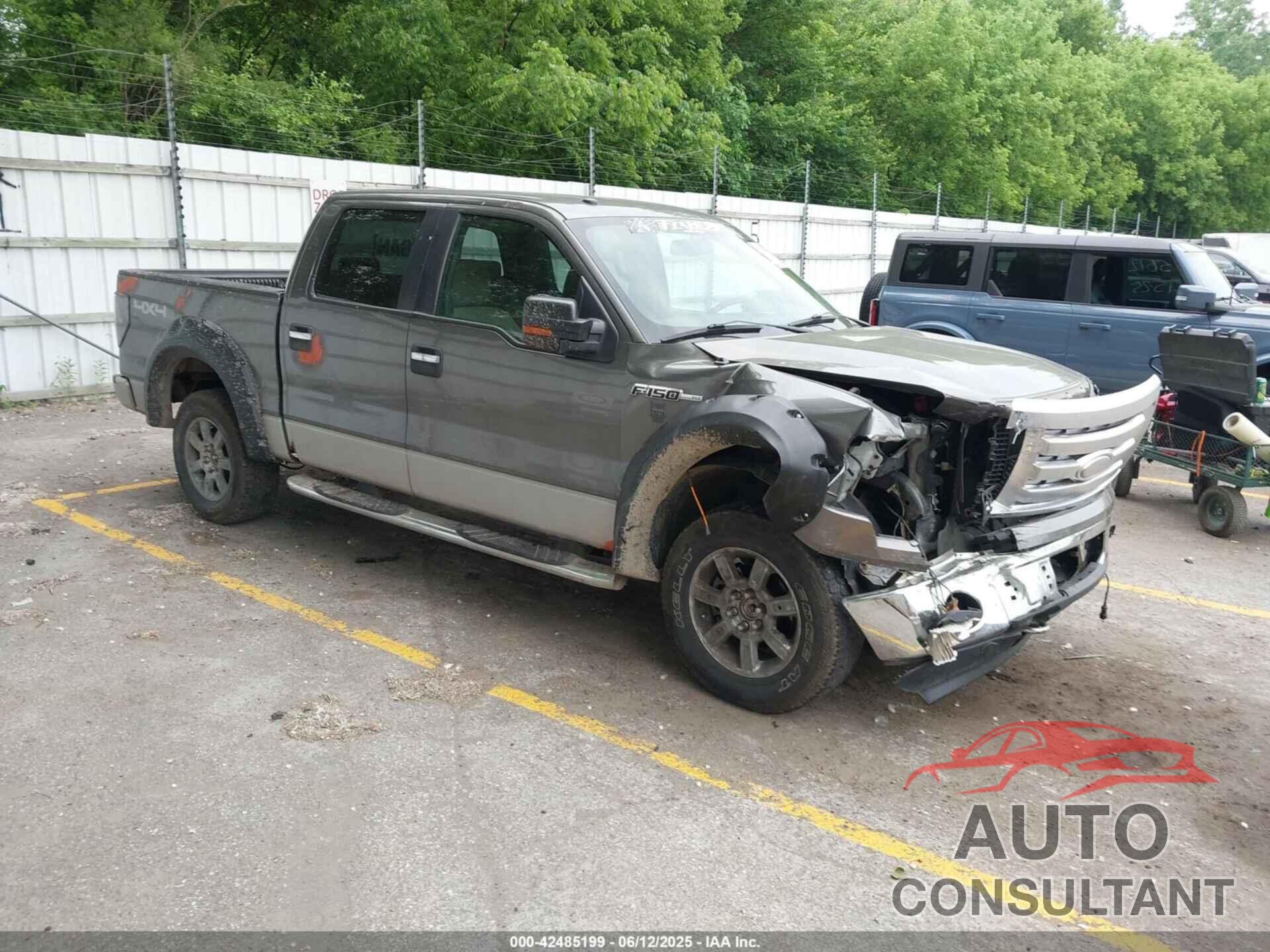 FORD F-150 2009 - 1FTRW14829FB24504