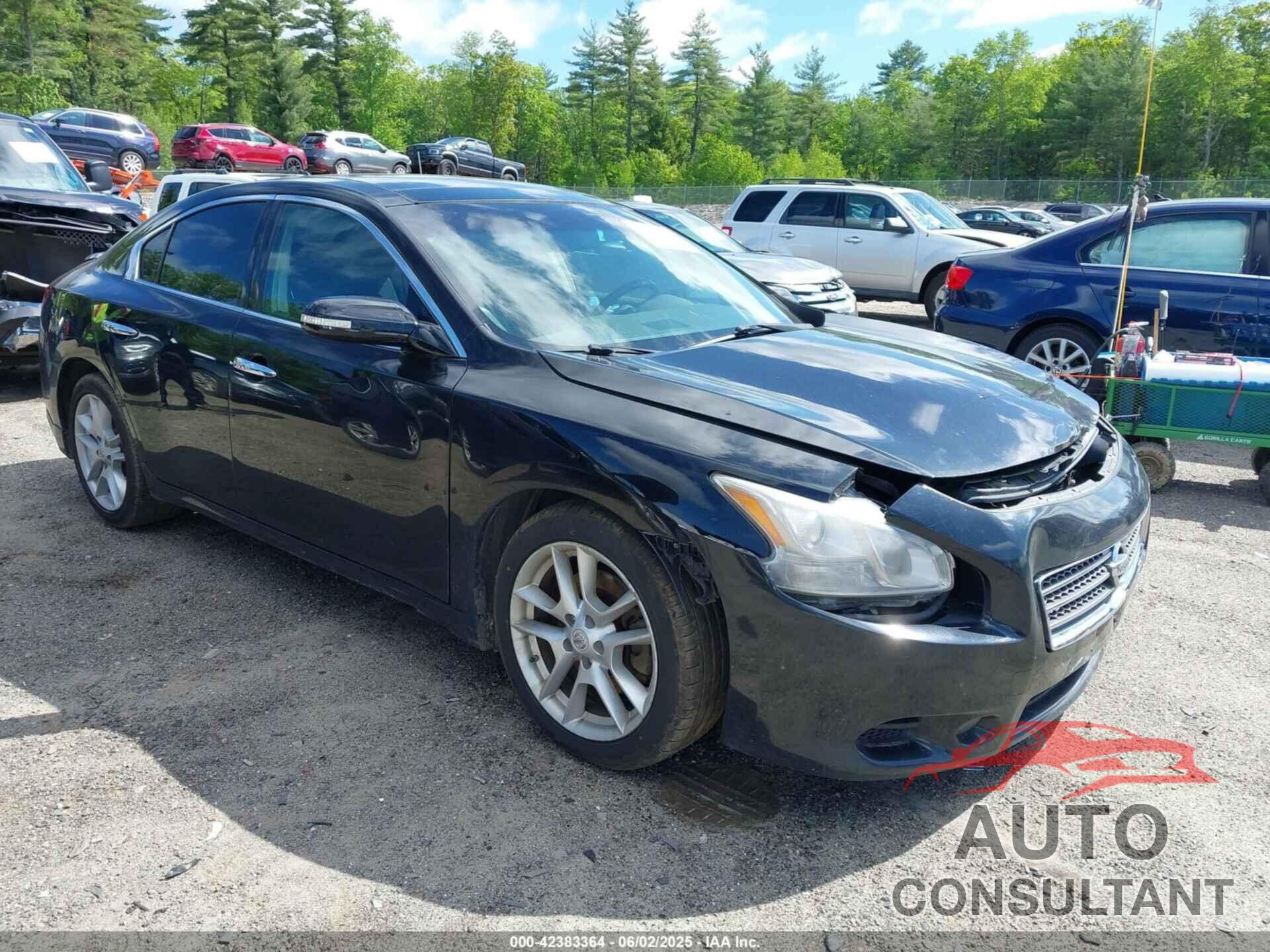 NISSAN MAXIMA 2010 - 1N4AA5AP6AC803783