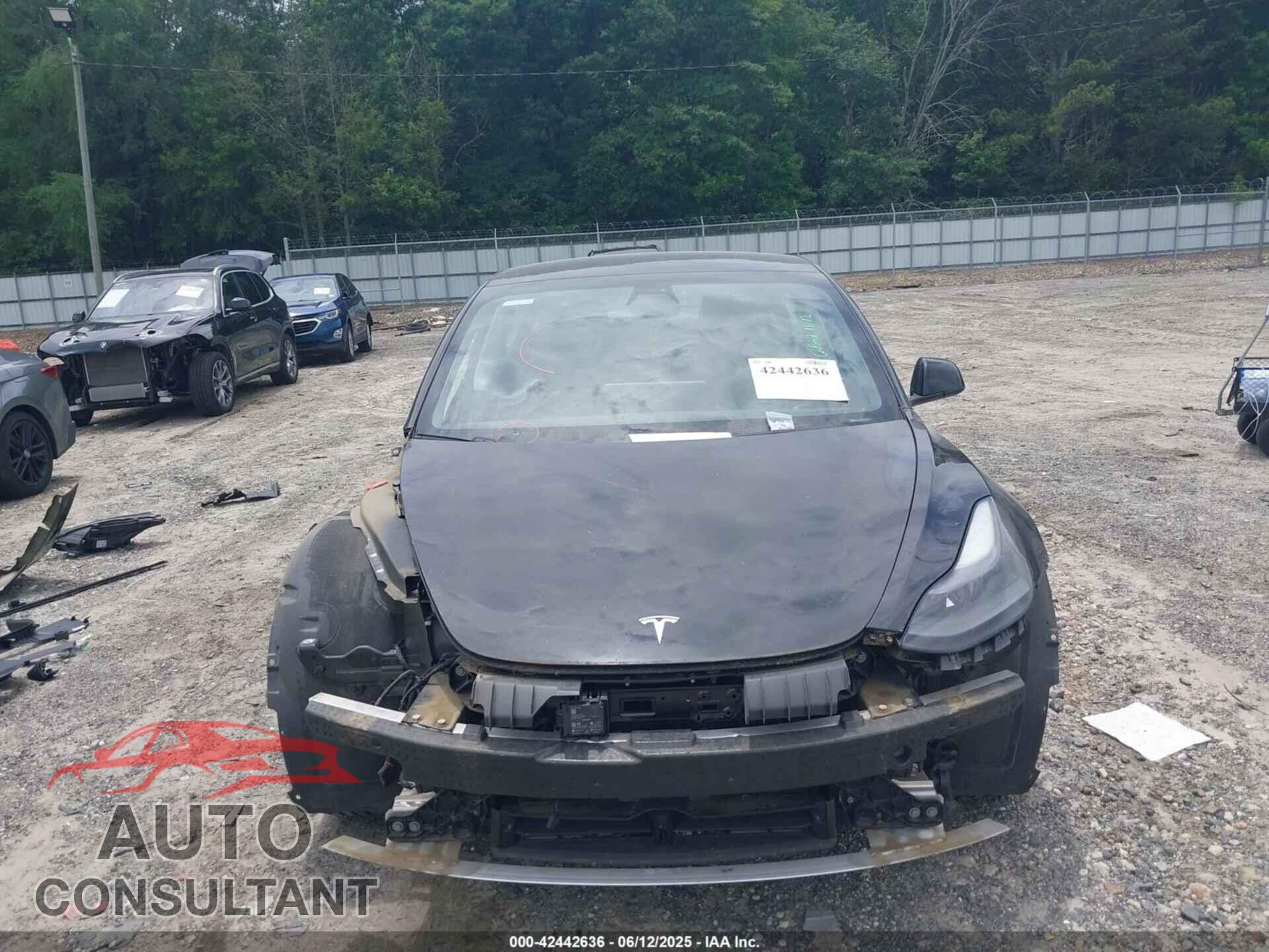 TESLA MODEL 3 2021 - 5YJ3E1EA0MF923057