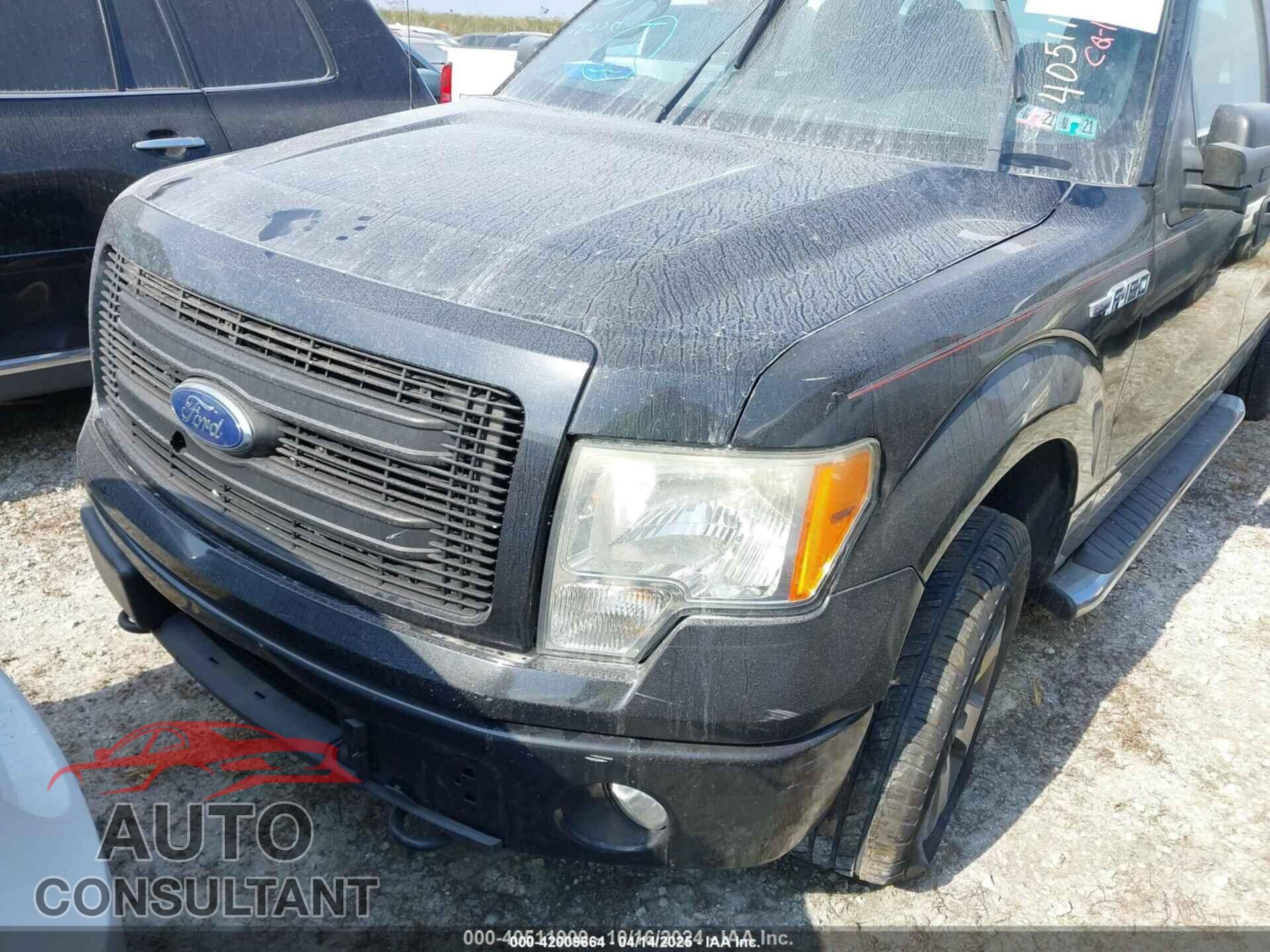 FORD F-150 2013 - 1FTFX1EF1DFD78839