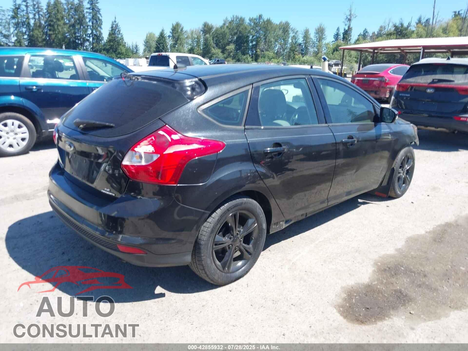 FORD FOCUS 2014 - 1FADP3K20EL157326