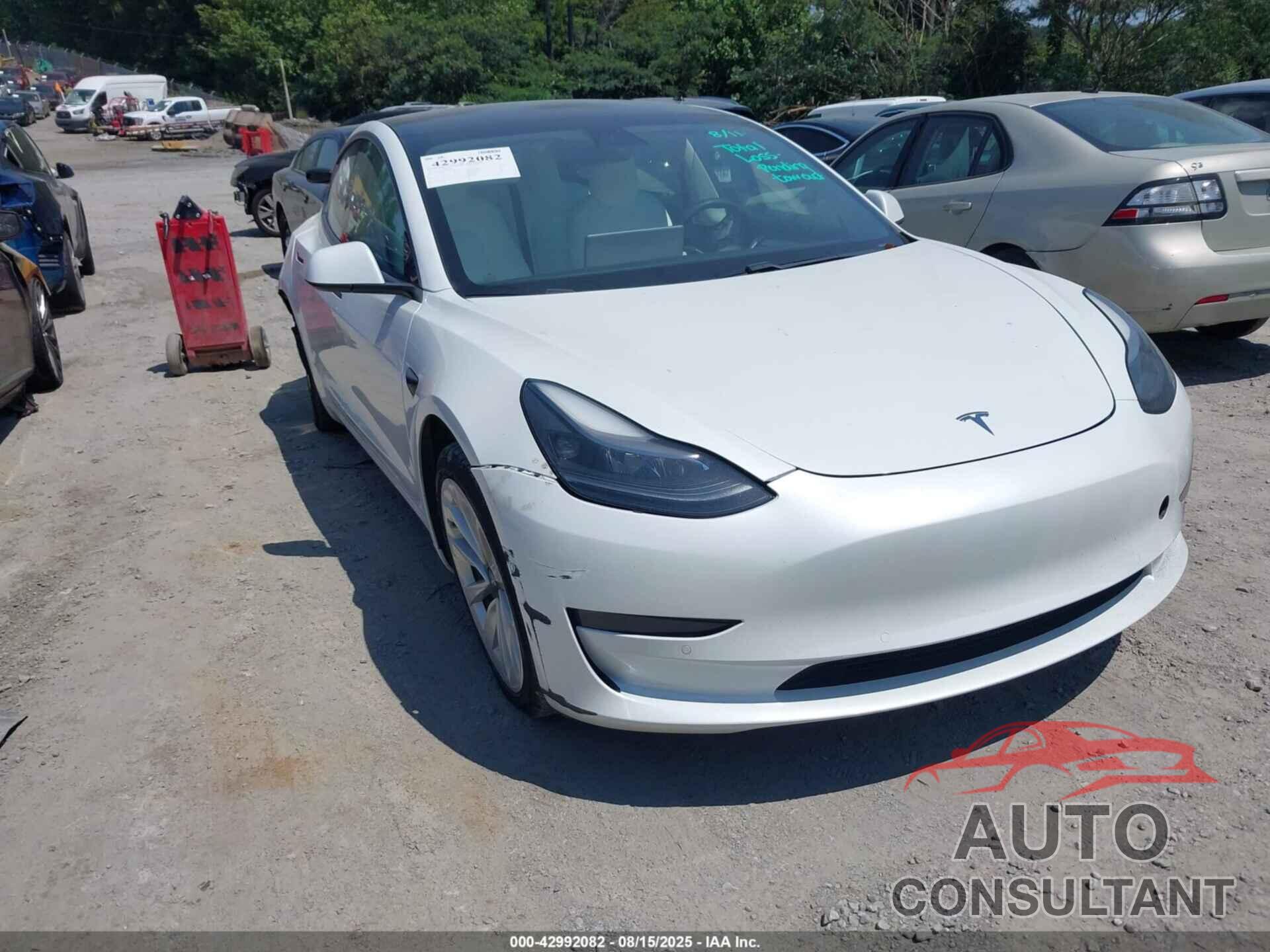 TESLA MODEL 3 2021 - 5YJ3E1EA9MF019269