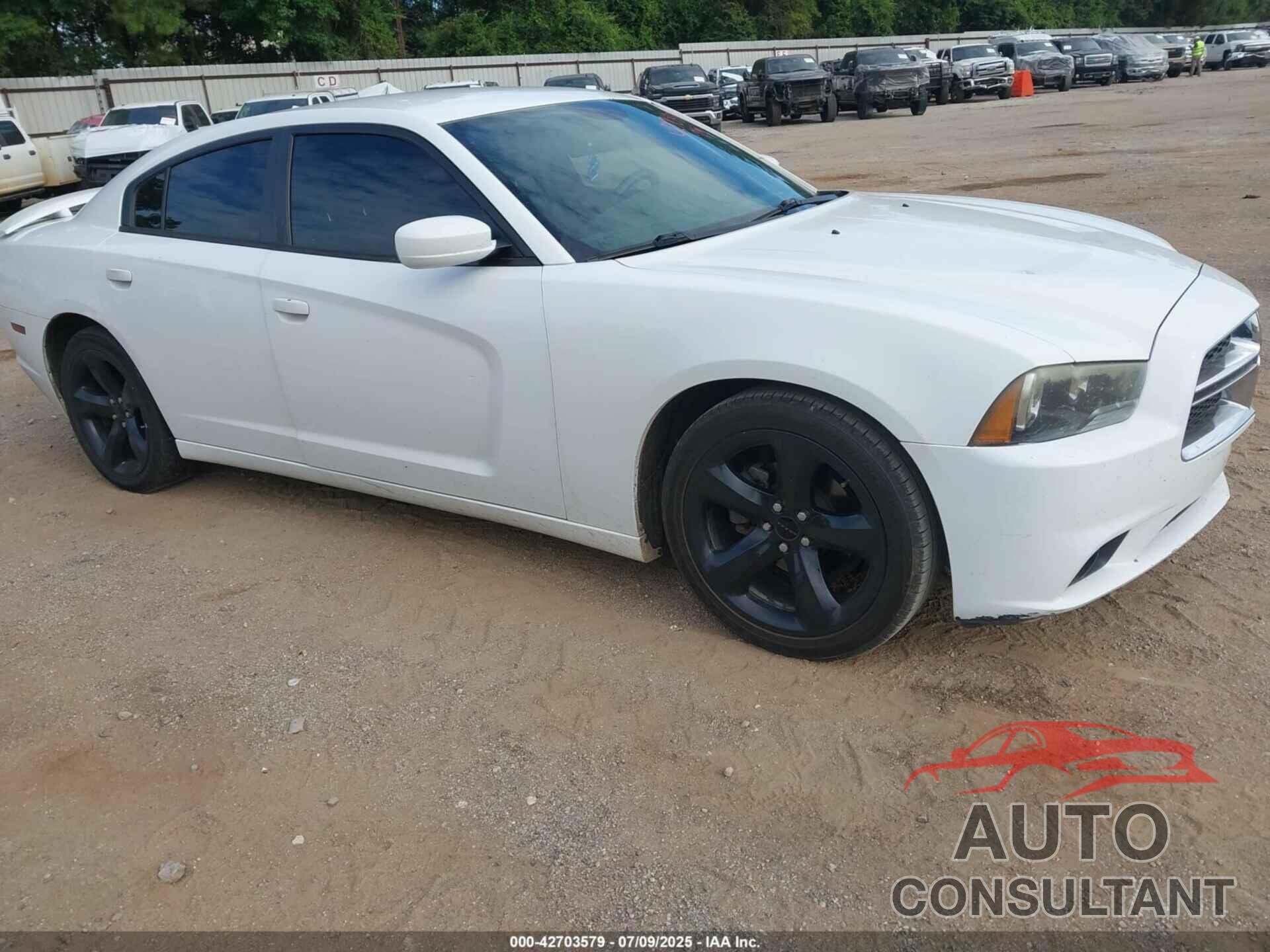 DODGE CHARGER 2014 - 2C3CDXHG6EH334472