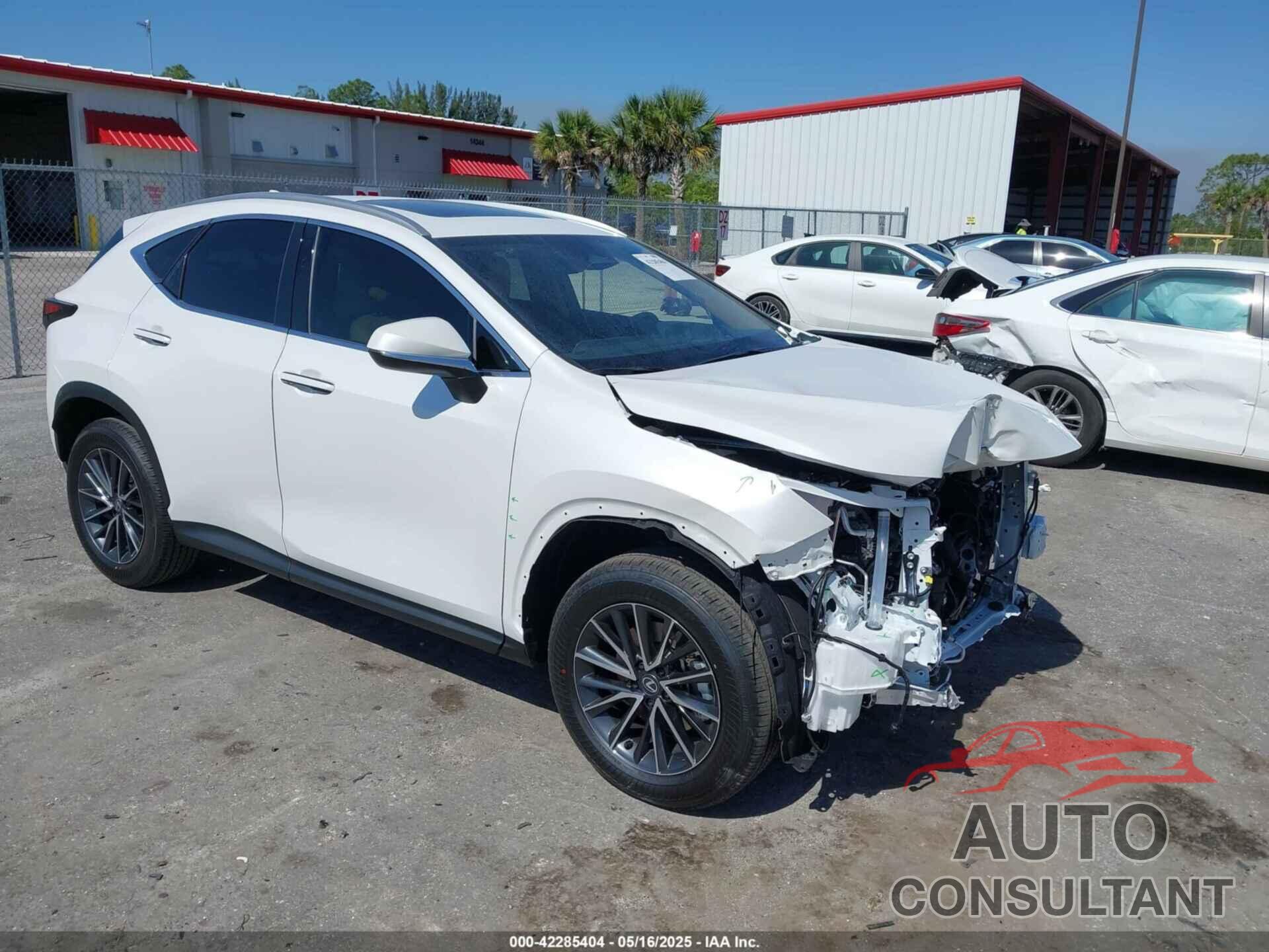 LEXUS NX 250 2025 - 2T2GDCAZXSC028362
