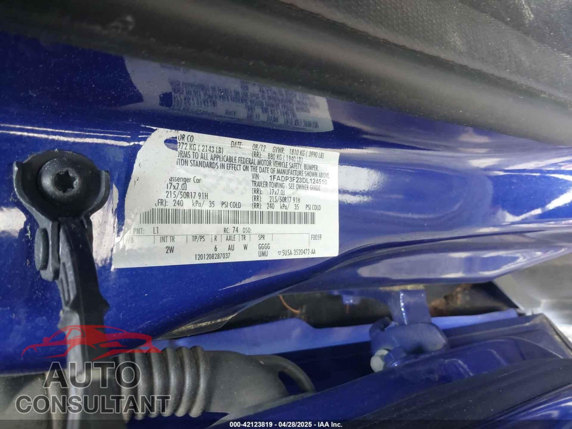 FORD FOCUS 2013 - 1FADP3F23DL124510
