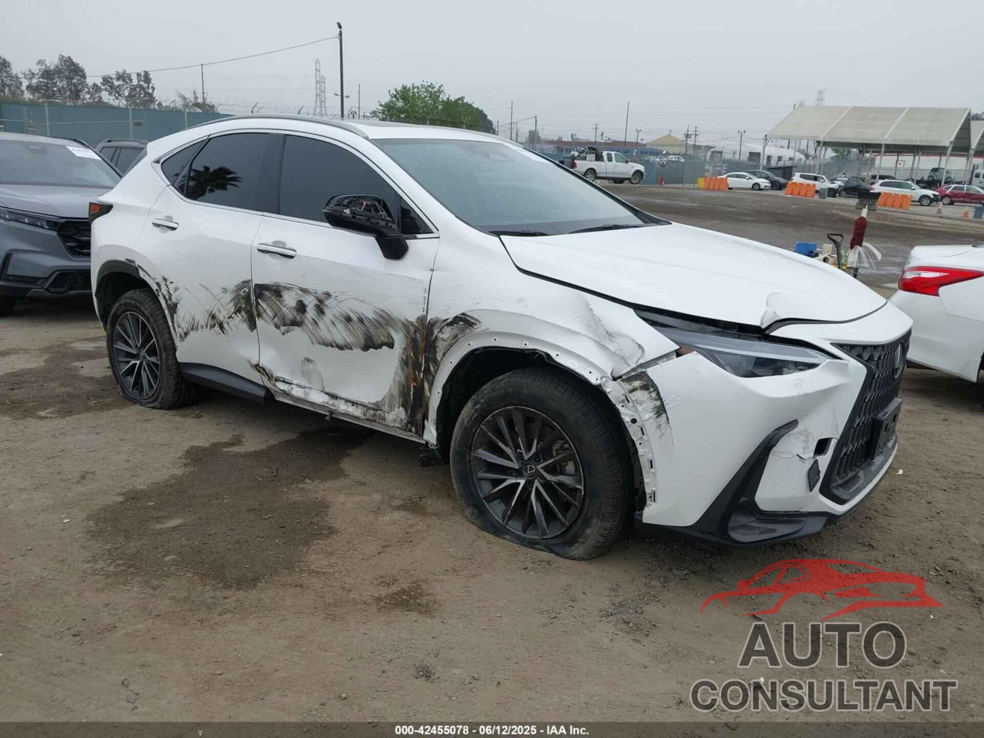 LEXUS NX 350H 2024 - JTJAKCEZ5R5010740