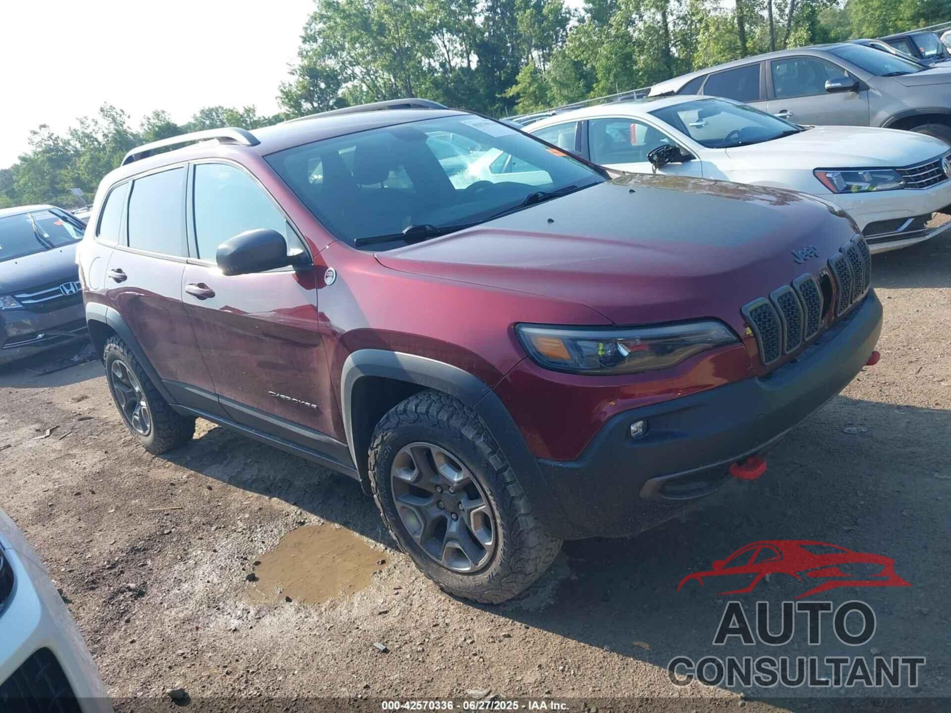 JEEP CHEROKEE 2019 - 1C4PJMBX5KD421043