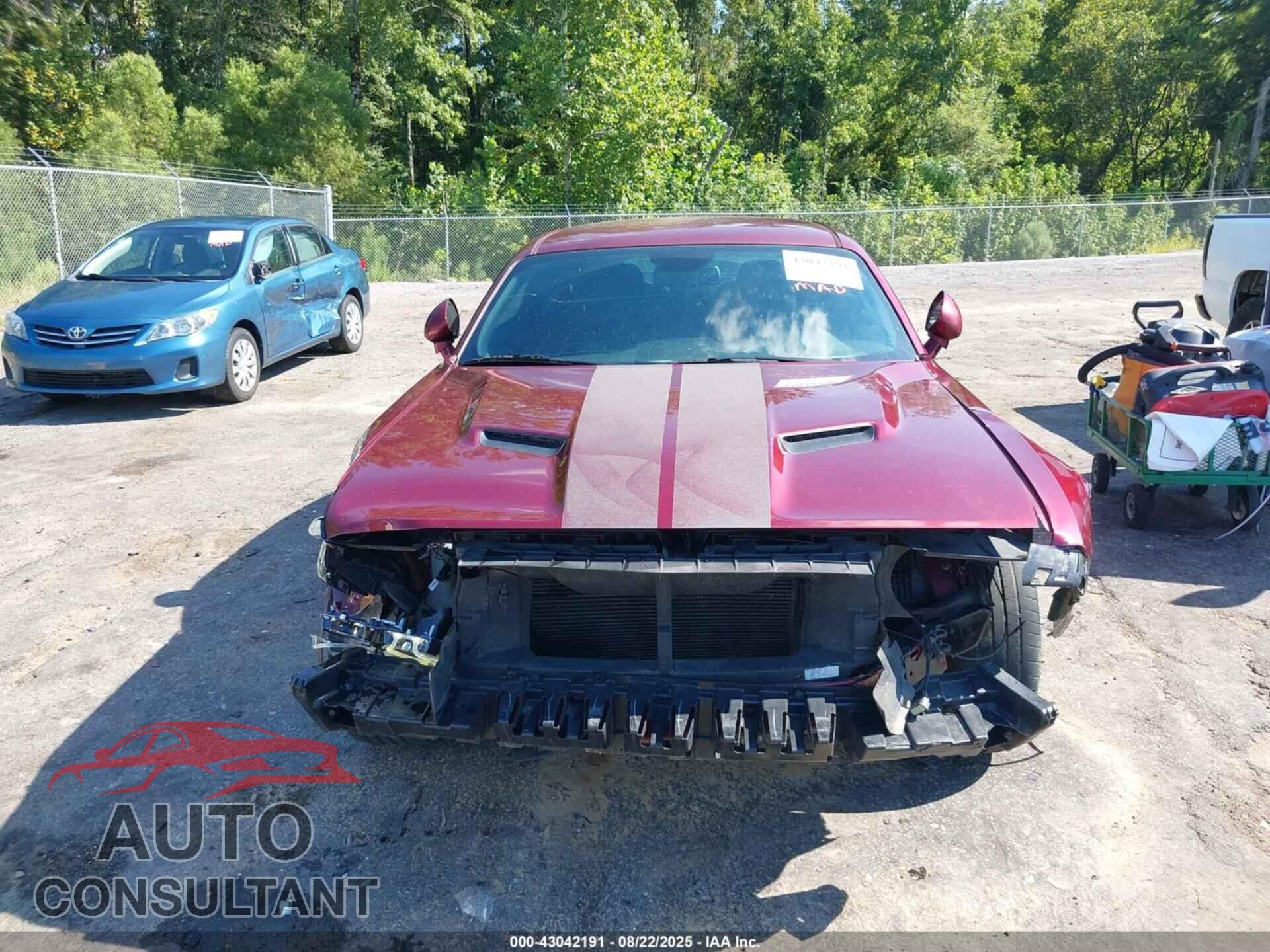 DODGE CHALLENGER 2019 - 2C3CDZAG7KH734025