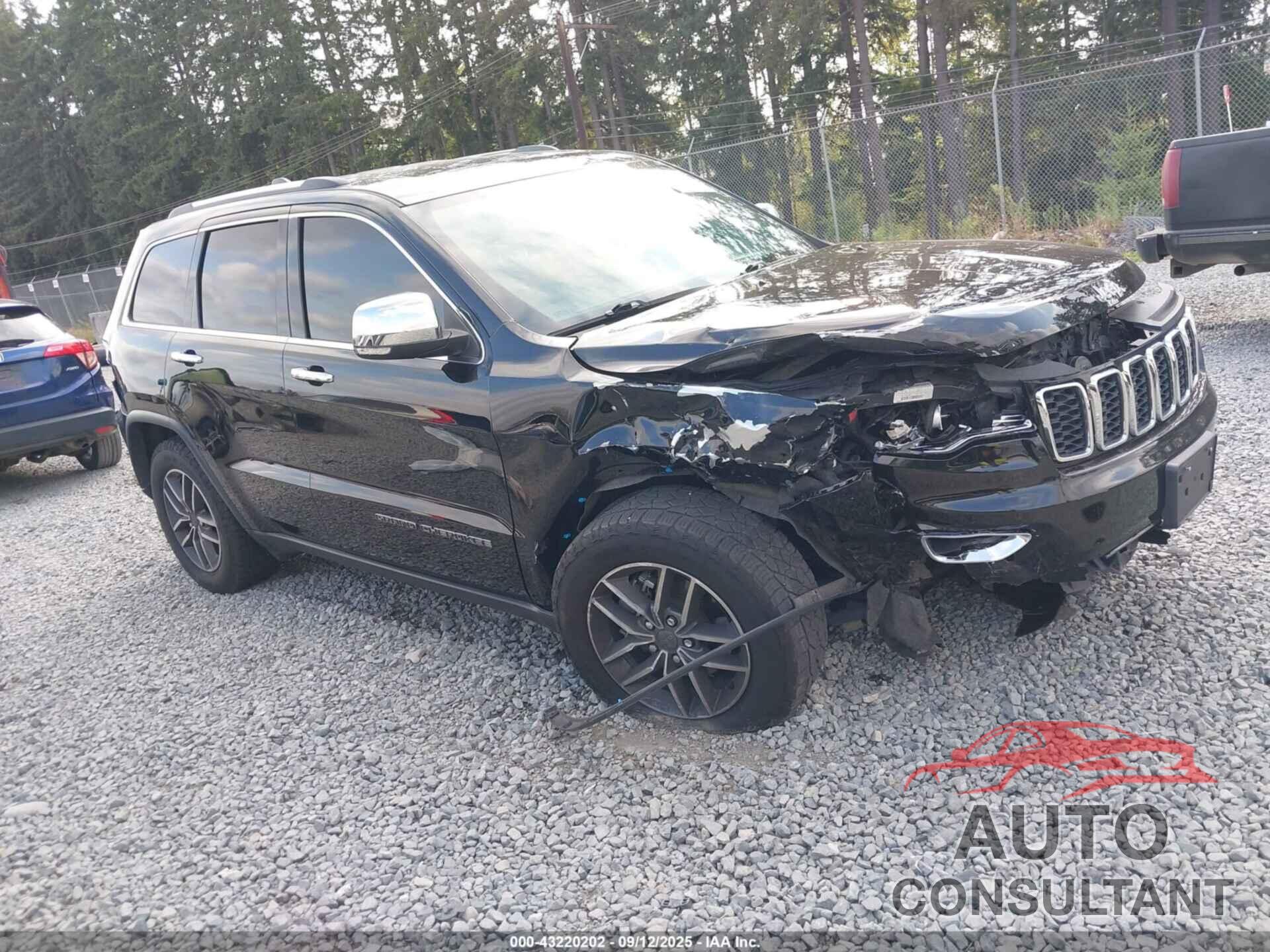 JEEP GRAND CHEROKEE 2019 - 1C4RJFBG7KC788231