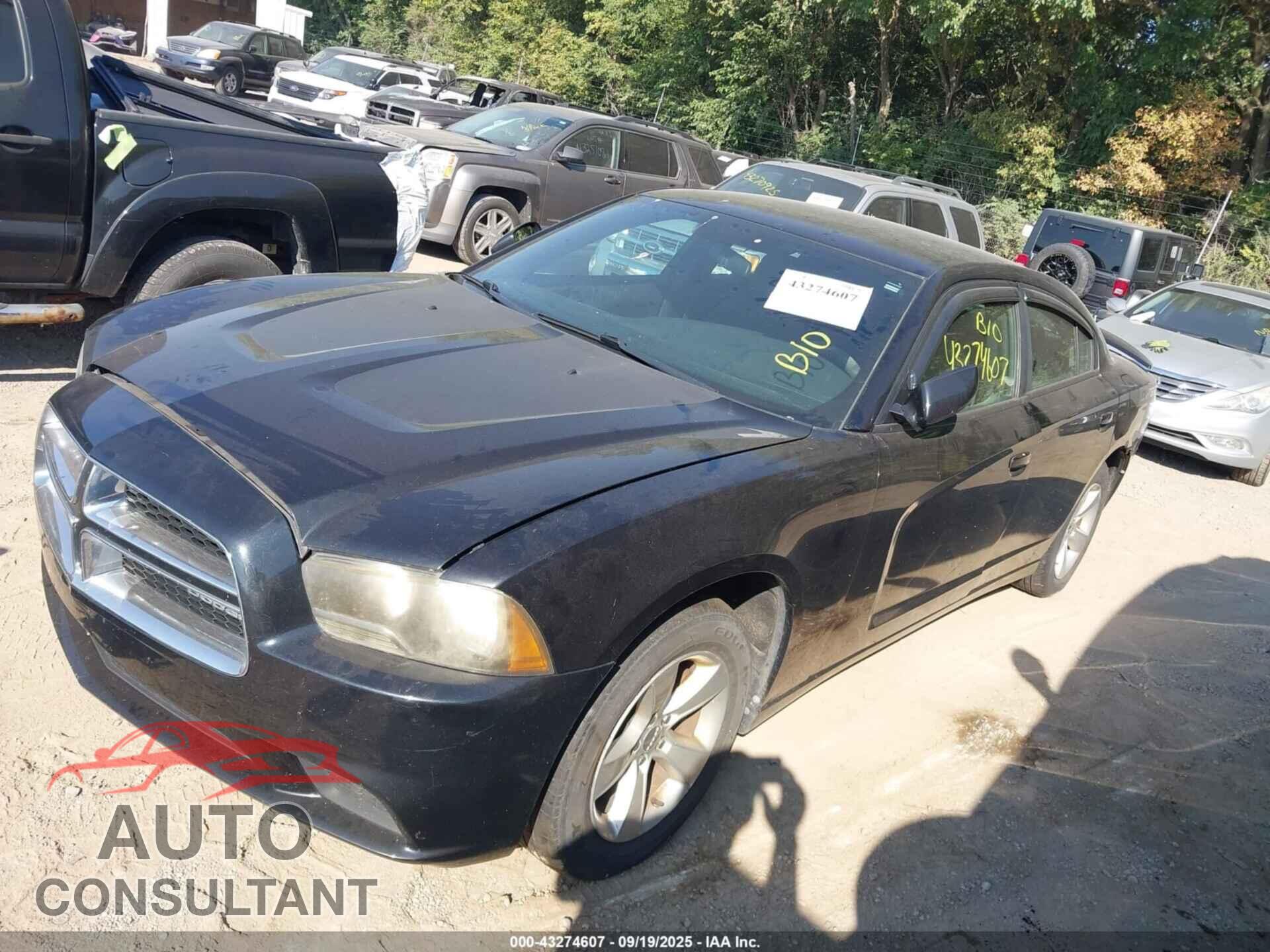 DODGE CHARGER 2011 - 2B3CL3CG9BH509261