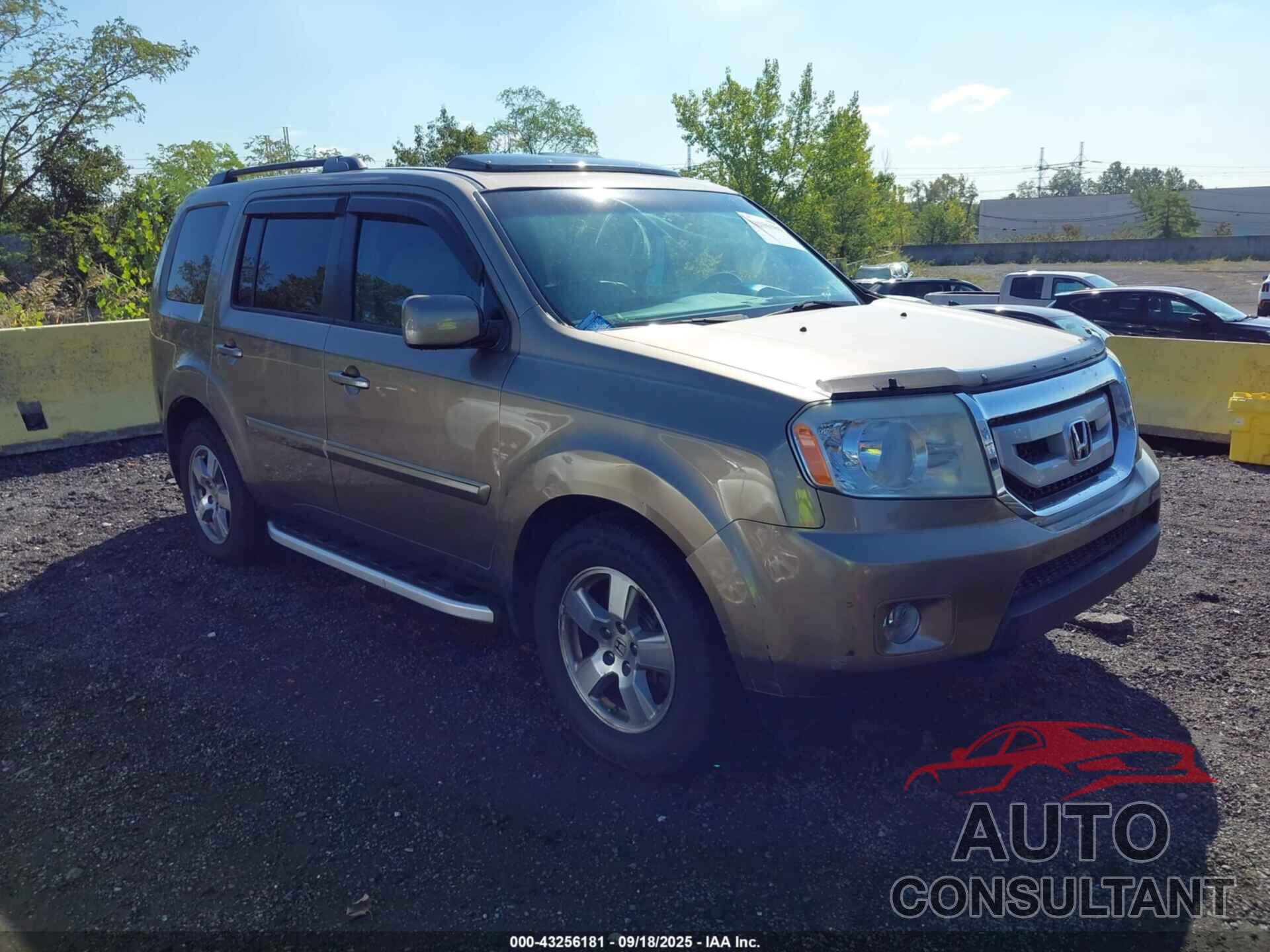 HONDA PILOT 2011 - 5FNYF4H6XBB017345