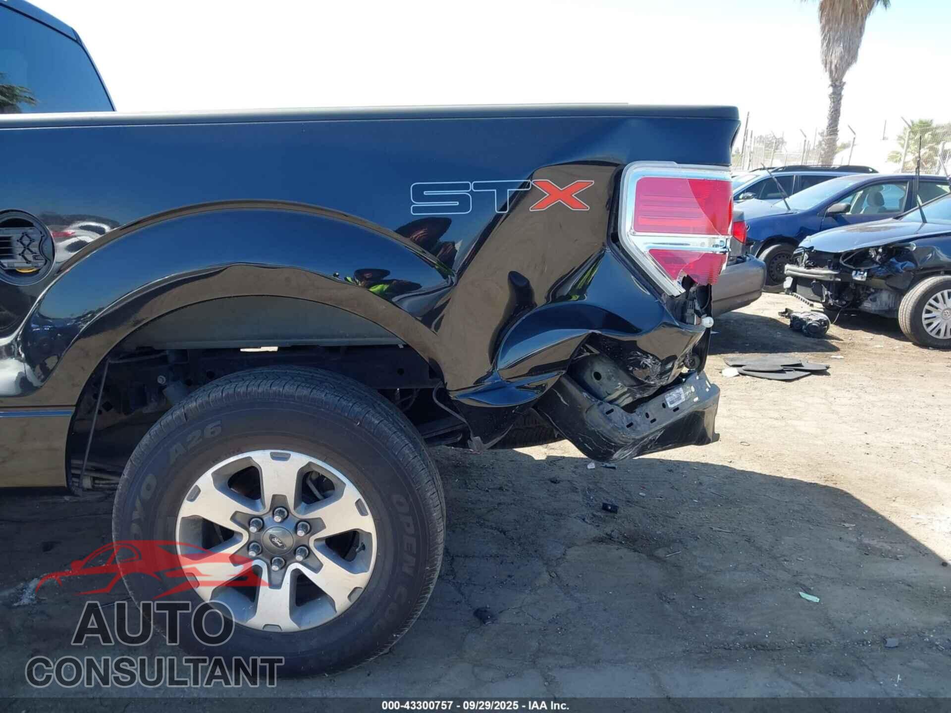 FORD F-150 2013 - 1FTFX1CF8DFD84009