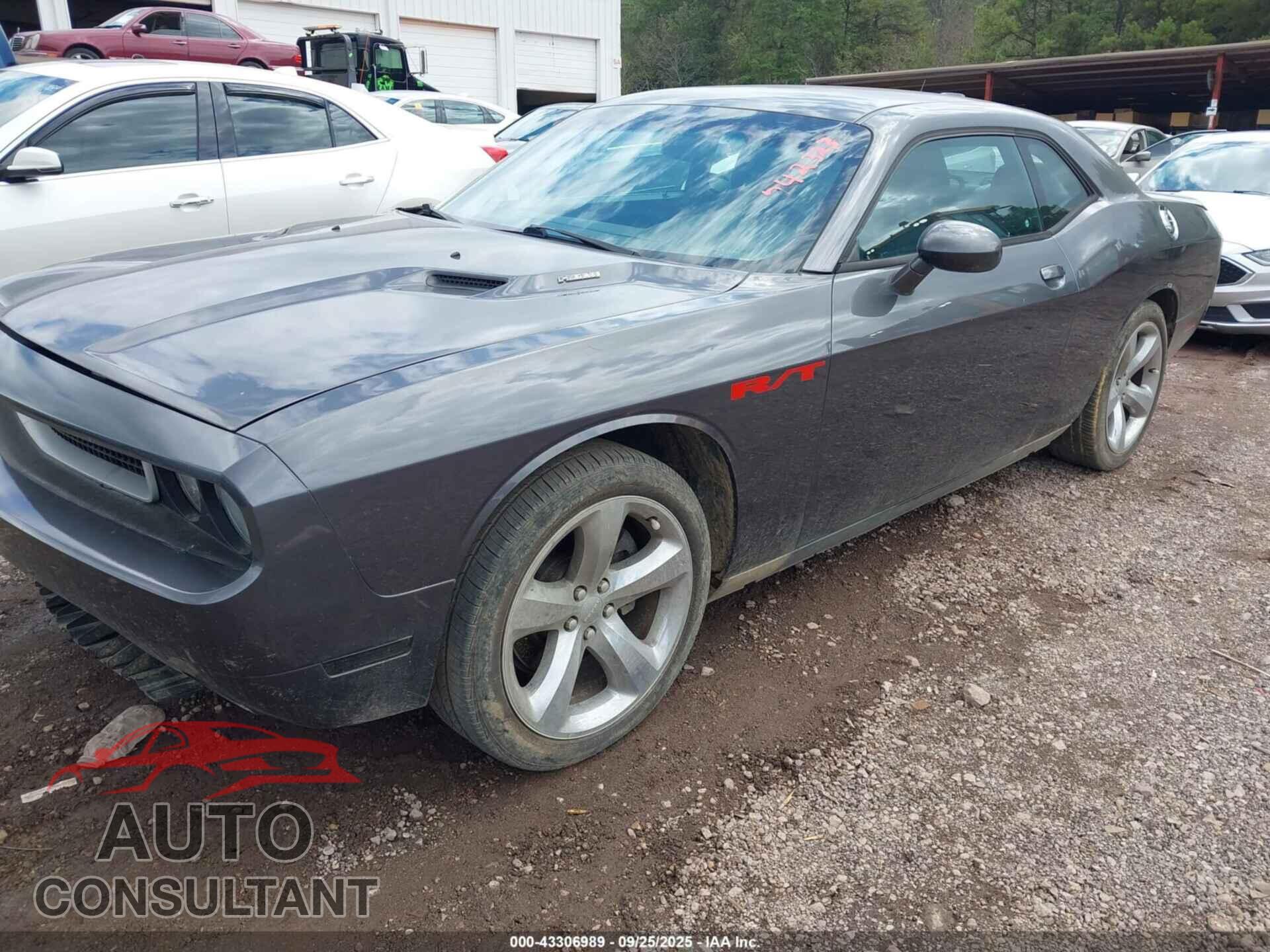 DODGE CHALLENGER 2013 - 2C3CDYBTXDH742323