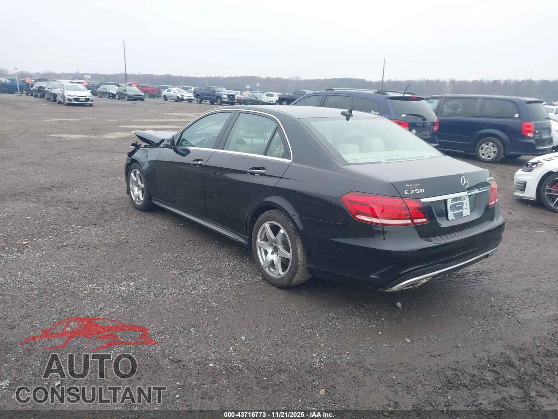 MERCEDES-BENZ E 250 BLUETEC 2014 - WDDHF9HB3EA866360