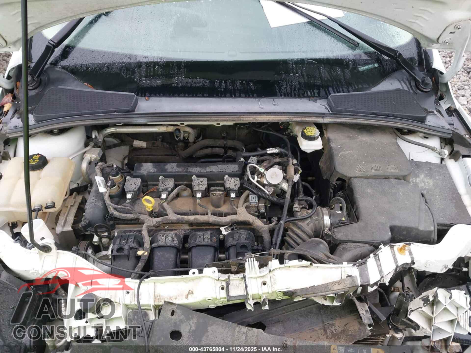 FORD FOCUS 2017 - 1FADP3F20HL337517