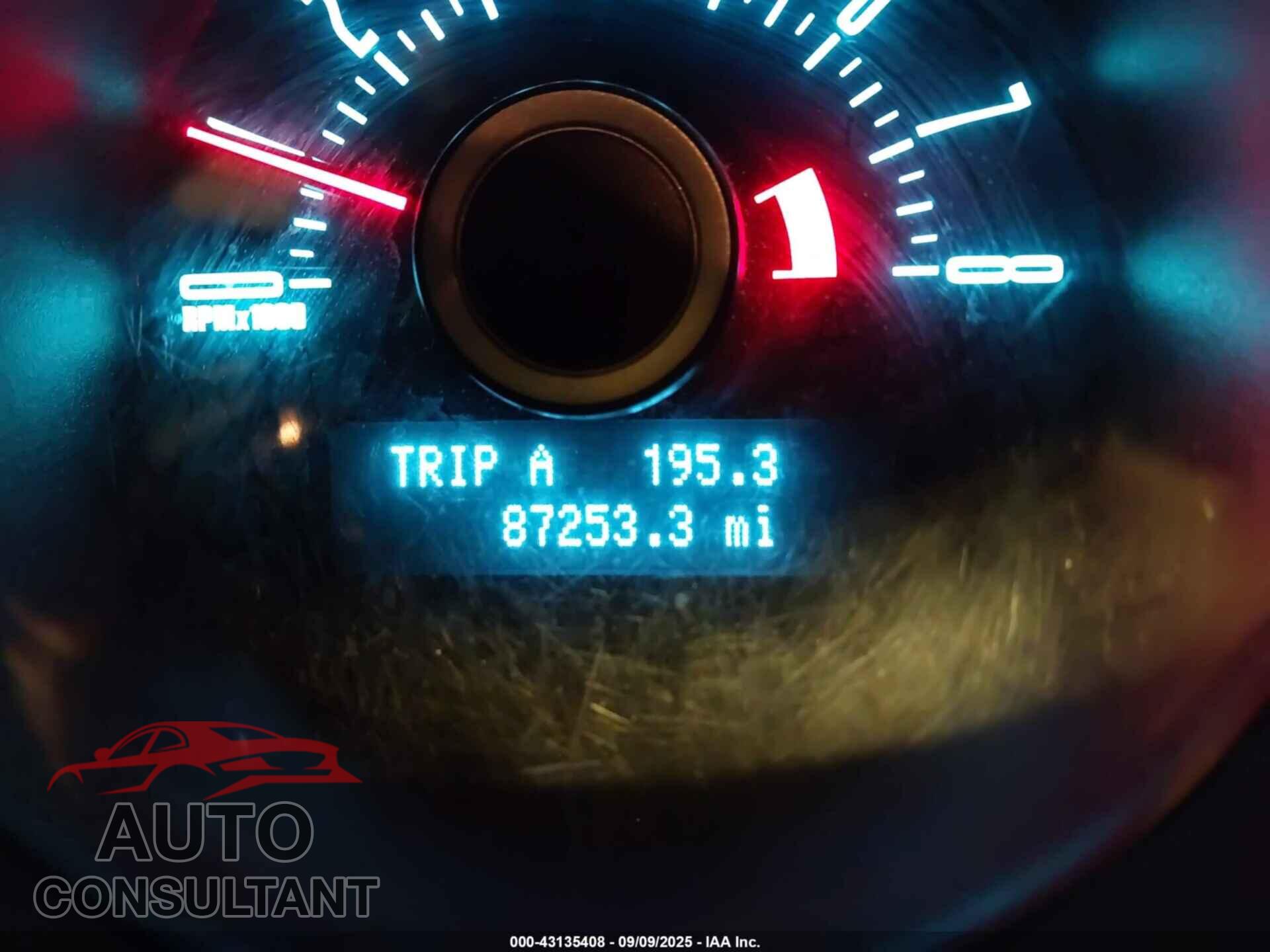 FORD MUSTANG 2013 - 1ZVBP8AM6D5262275