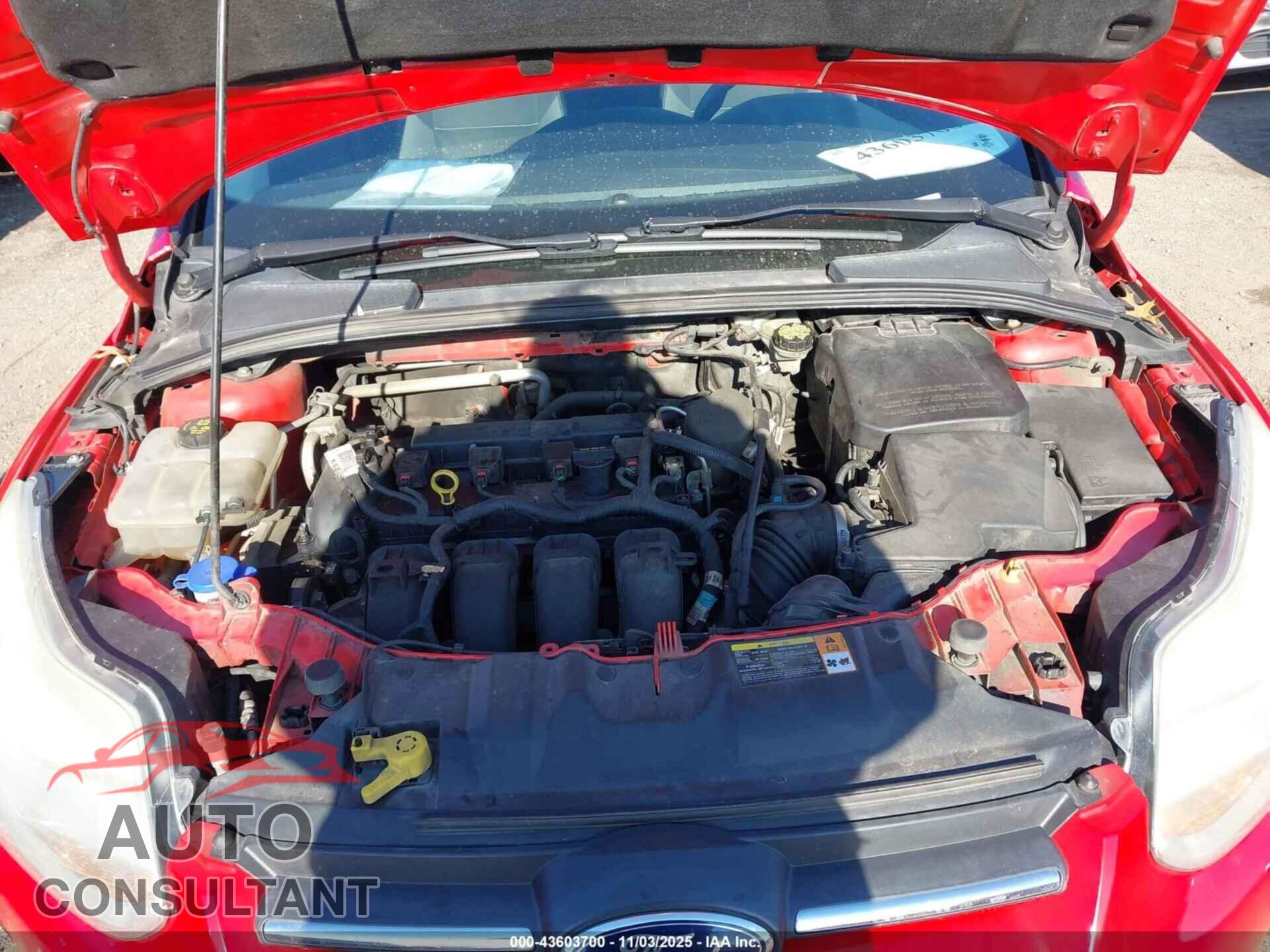 FORD FOCUS 2014 - 1FADP3F29EL142995