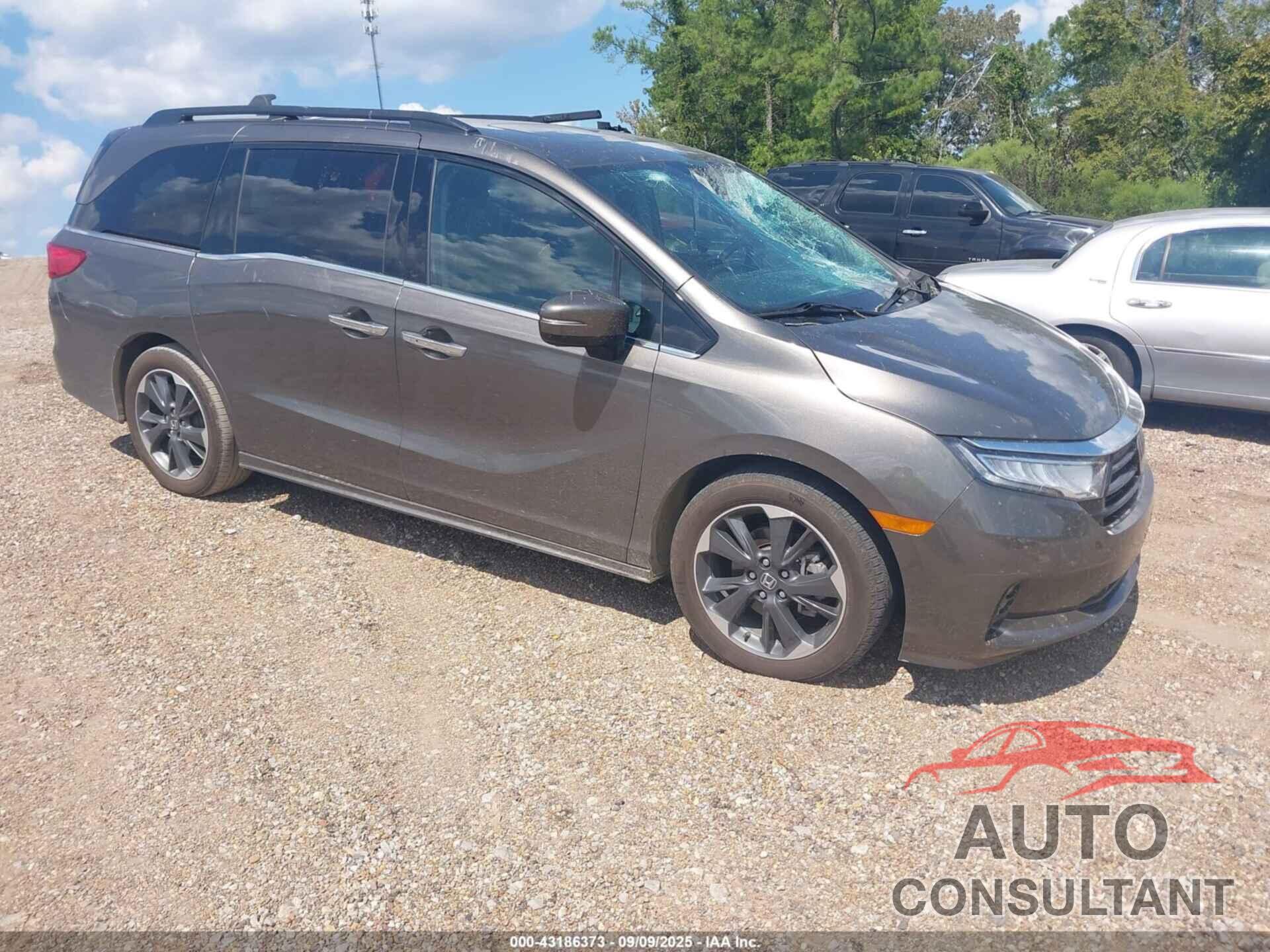HONDA ODYSSEY 2023 - 5FNRL6H98PB020917