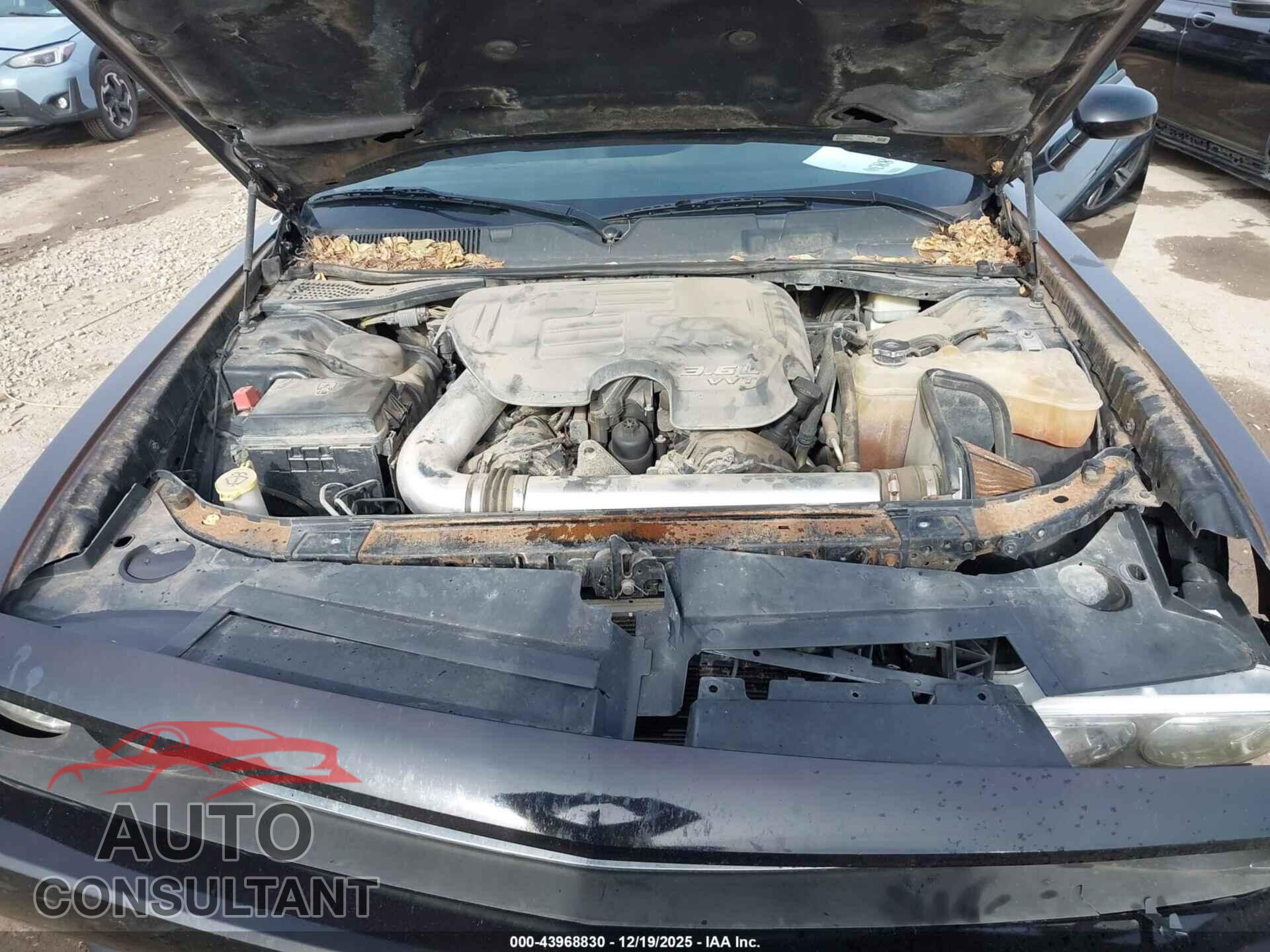 DODGE CHALLENGER 2014 - 2C3CDYAG2EH304580