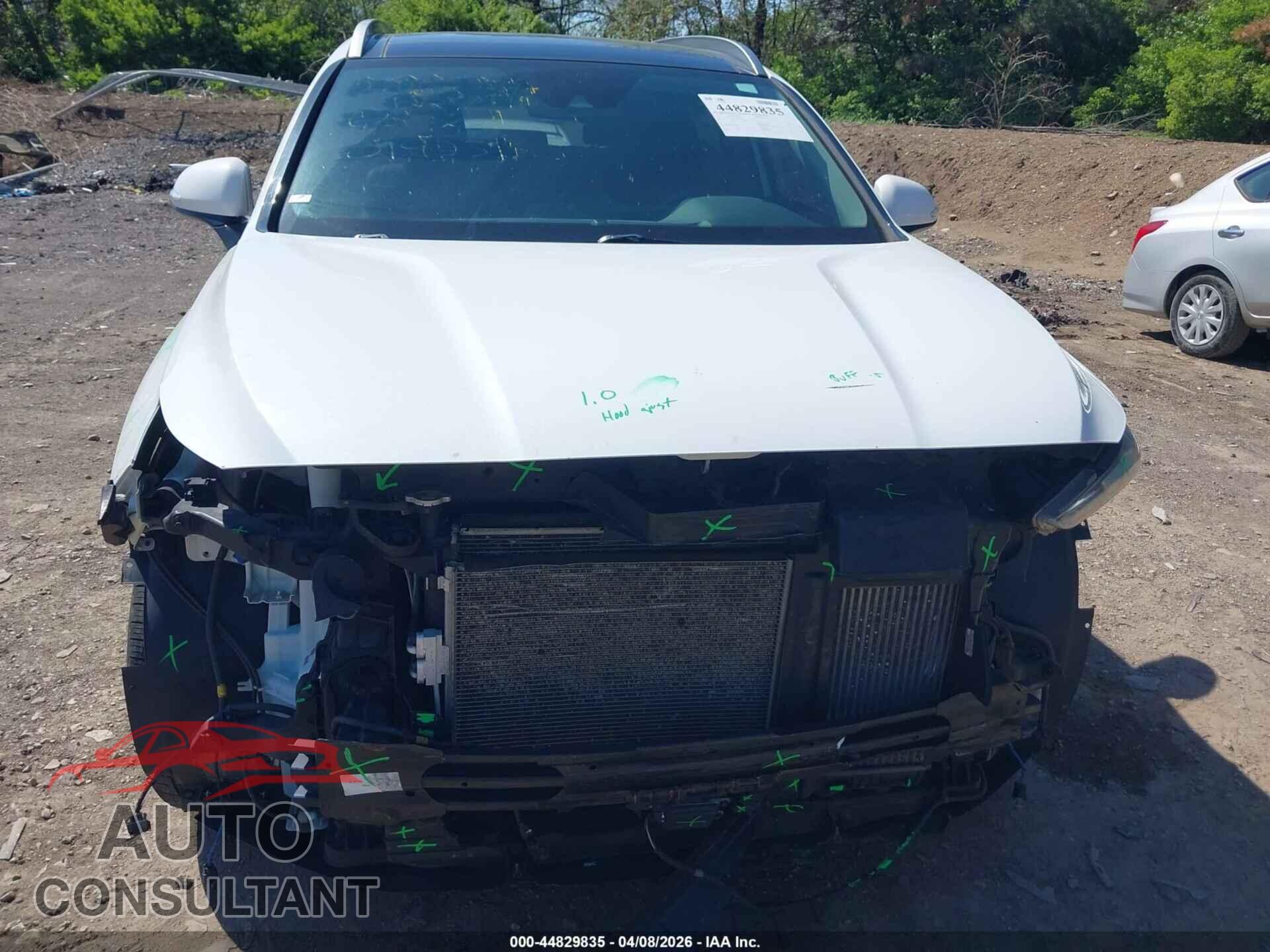 HYUNDAI SANTA FE 2019 - 5NMS5CAA5KH019231