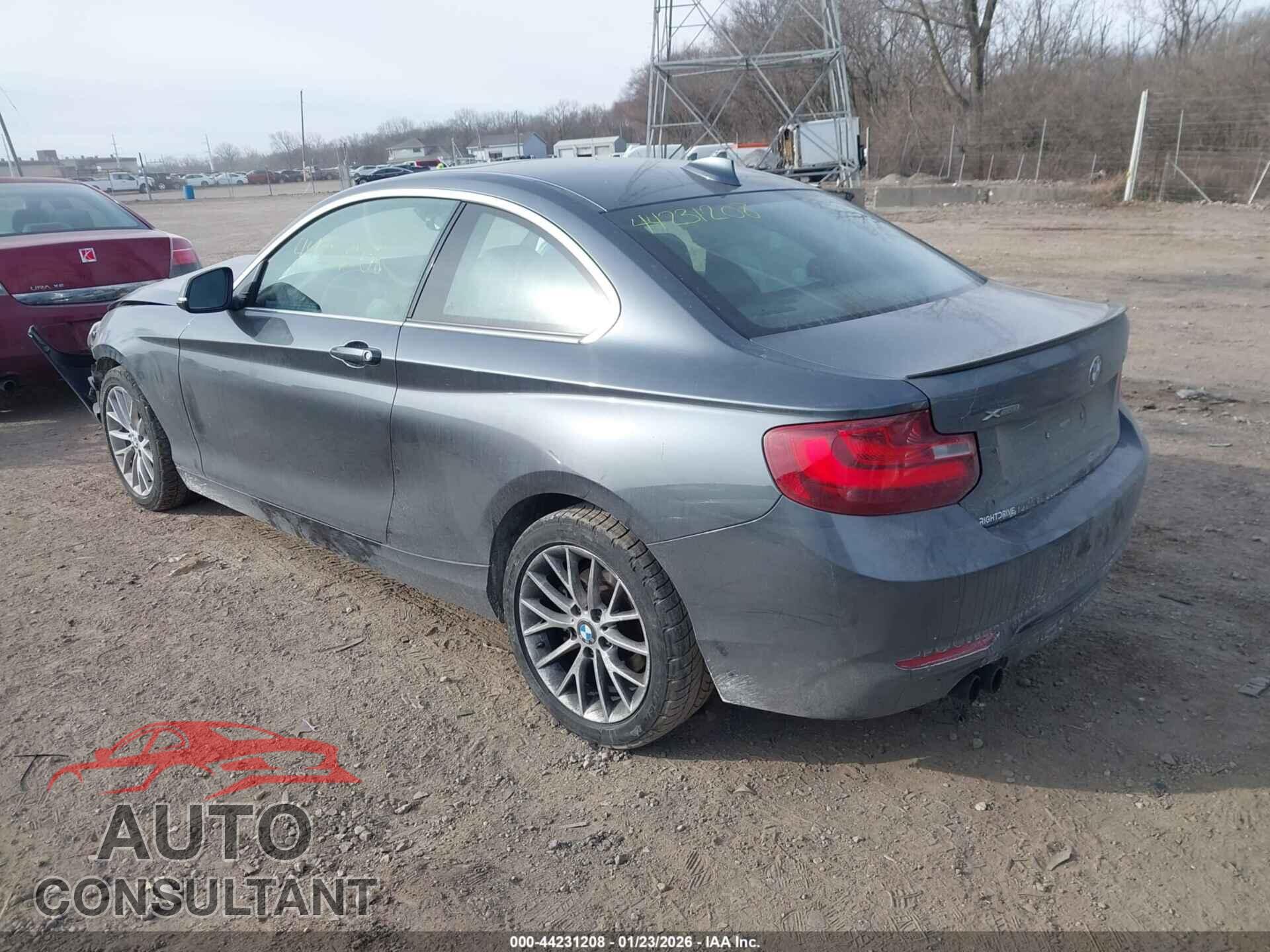 BMW 228I 2016 - WBA1G9C59GV599521