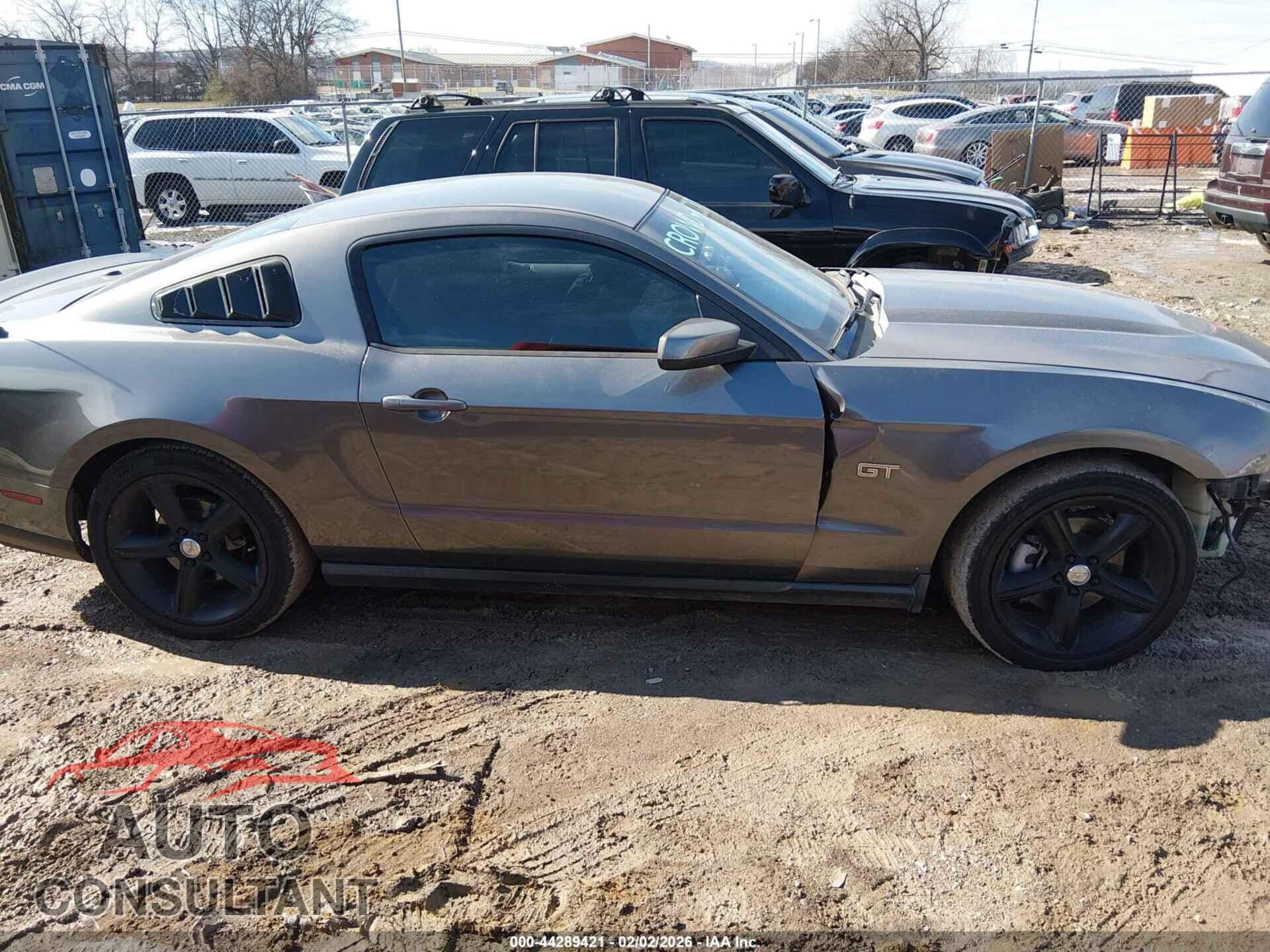 FORD MUSTANG 2010 - 1ZVBP8CH7A5166571