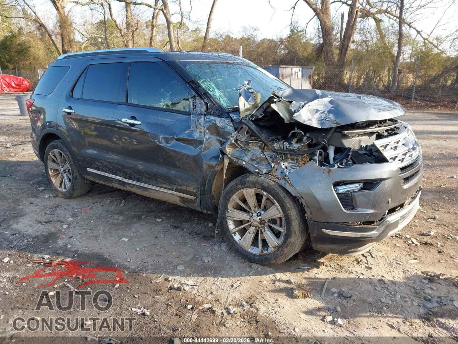 FORD EXPLORER 2019 - 1FM5K7FH0KGA75342