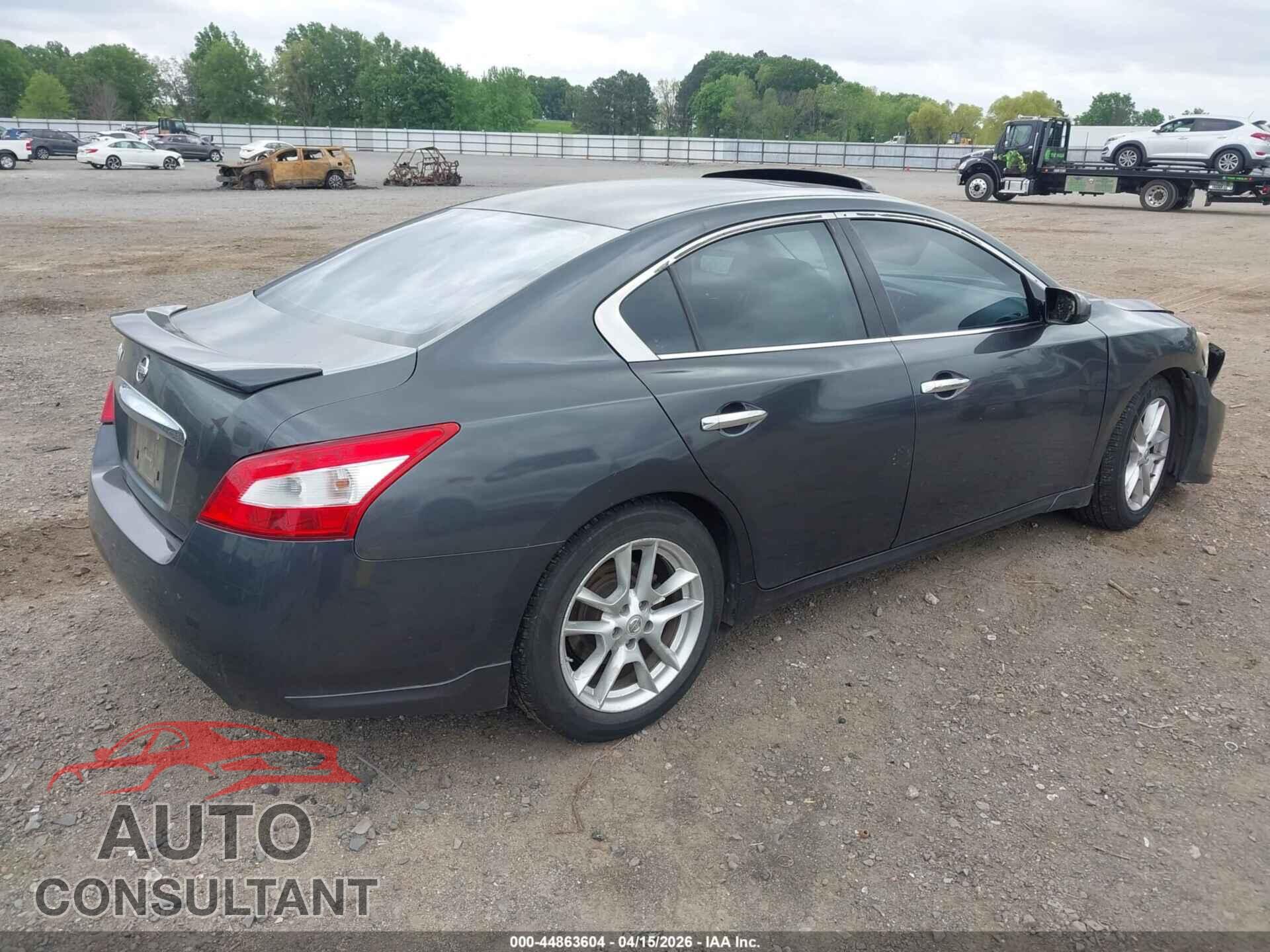 NISSAN MAXIMA 2011 - 1N4AA5APXBC839204
