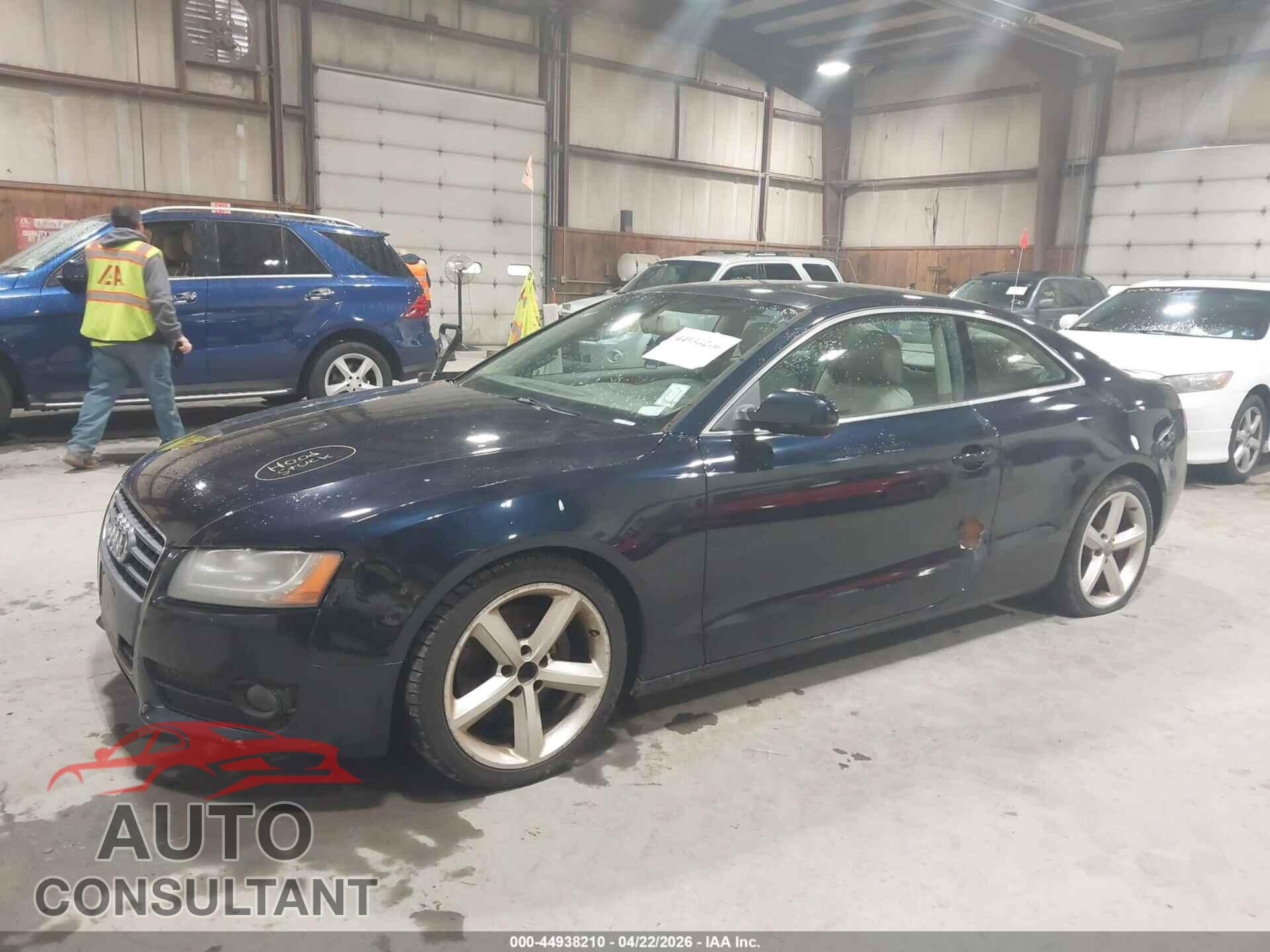 AUDI A5 2010 - WAULFAFR4AA037567