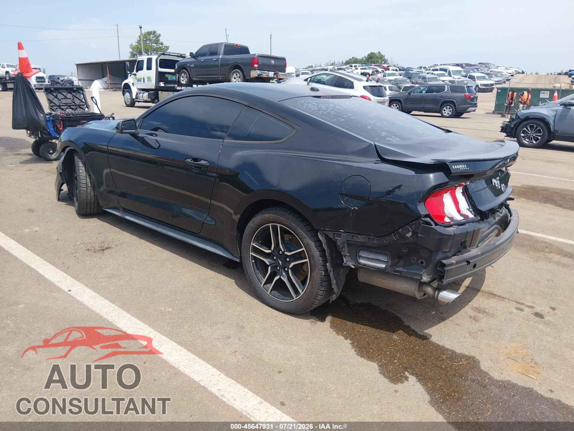 FORD MUSTANG 2019 - 1FA6P8TH3K5118092