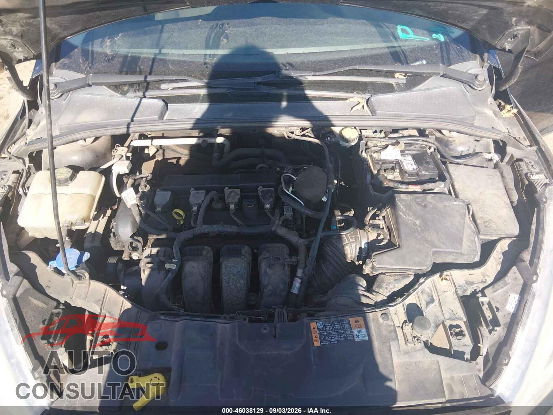 FORD FOCUS 2016 - 1FADP3F2XGL300733
