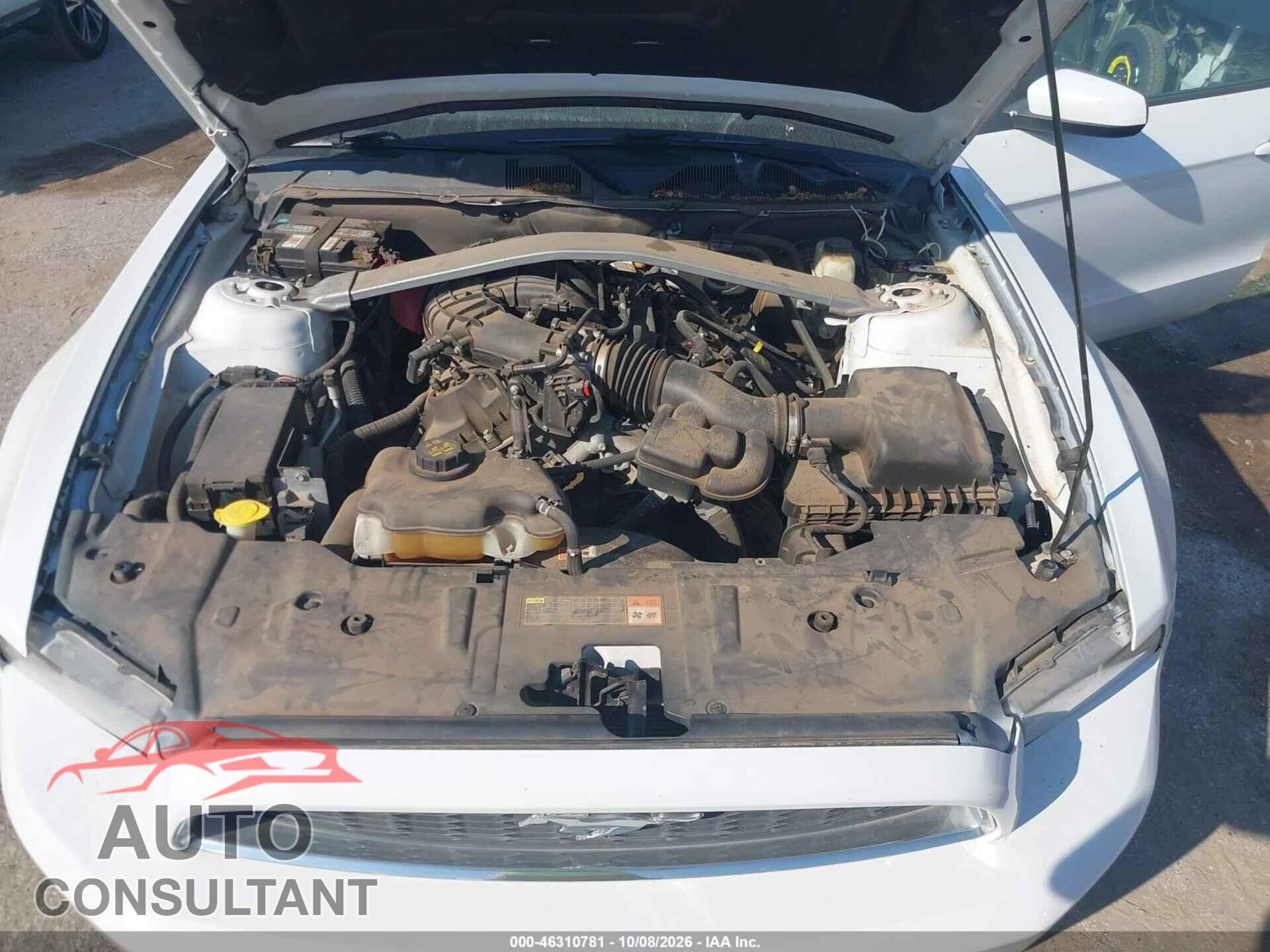 FORD MUSTANG 2014 - 1ZVBP8EM5E5272016