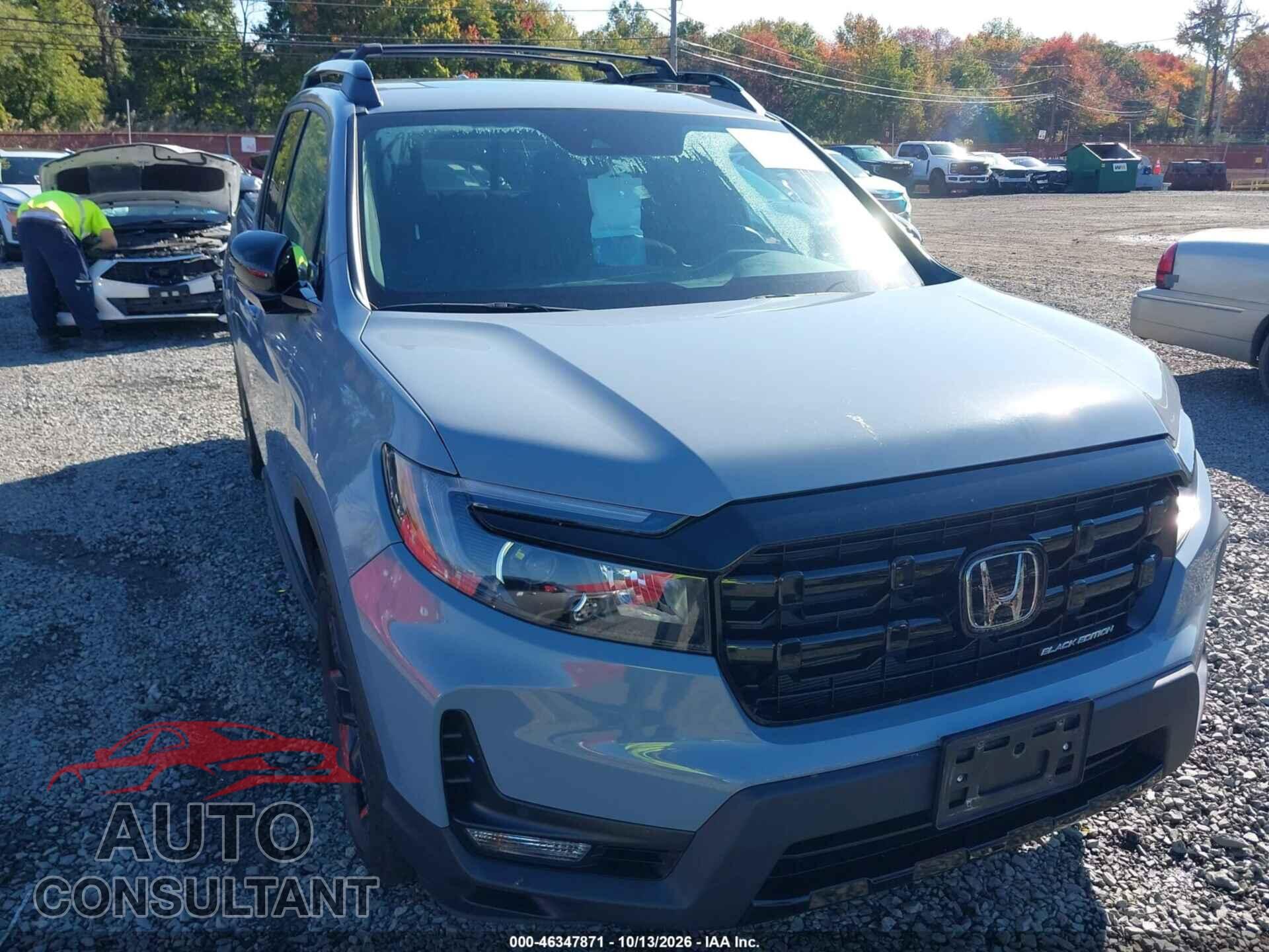 HONDA RIDGELINE 2024 - 5FPYK3F8XRB003568