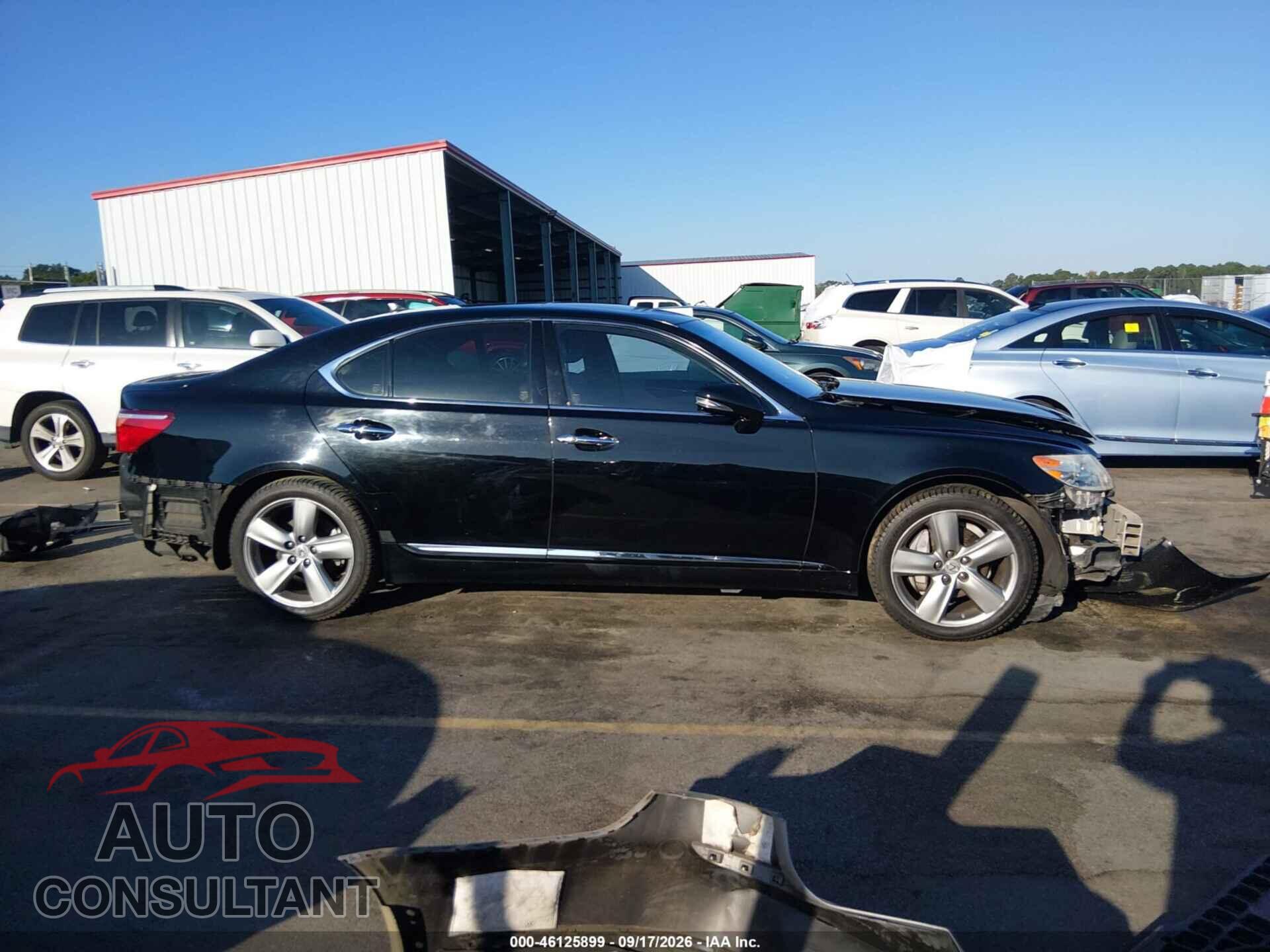 LEXUS LS 460 2010 - JTHBL5EF2A5100713