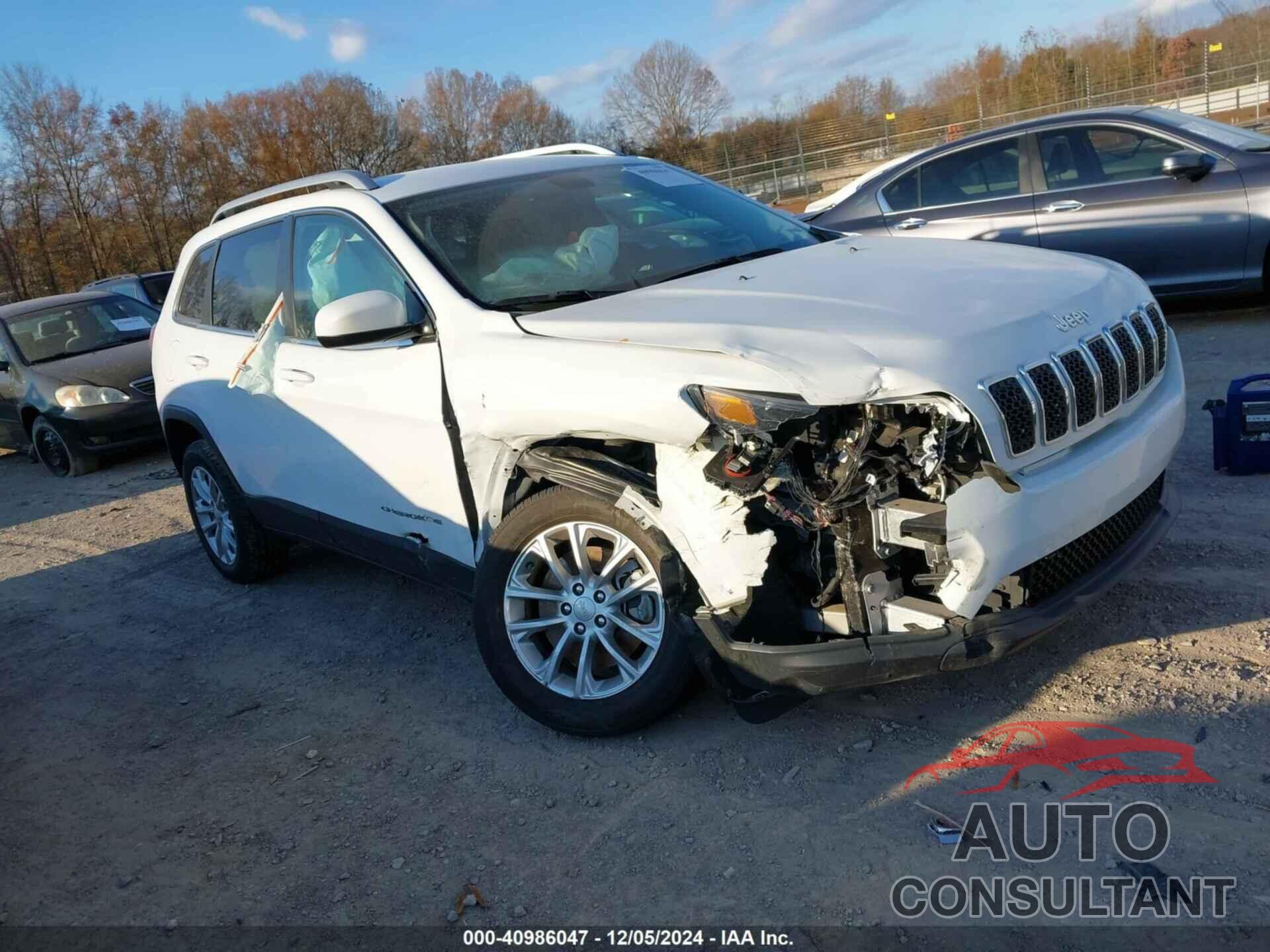 JEEP CHEROKEE 2019 - 1C4PJLCB7KD297063