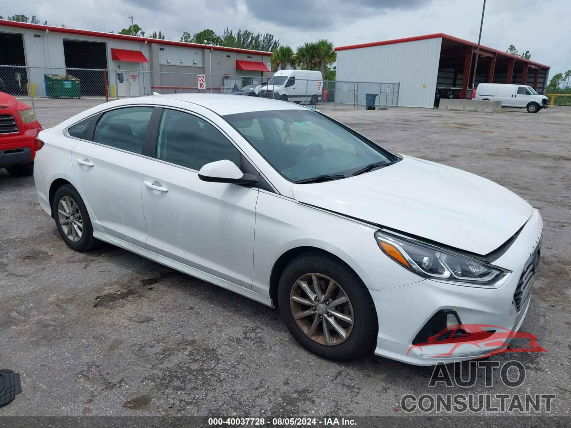 HYUNDAI SONATA 2019 - 5NPE24AF1KH777271