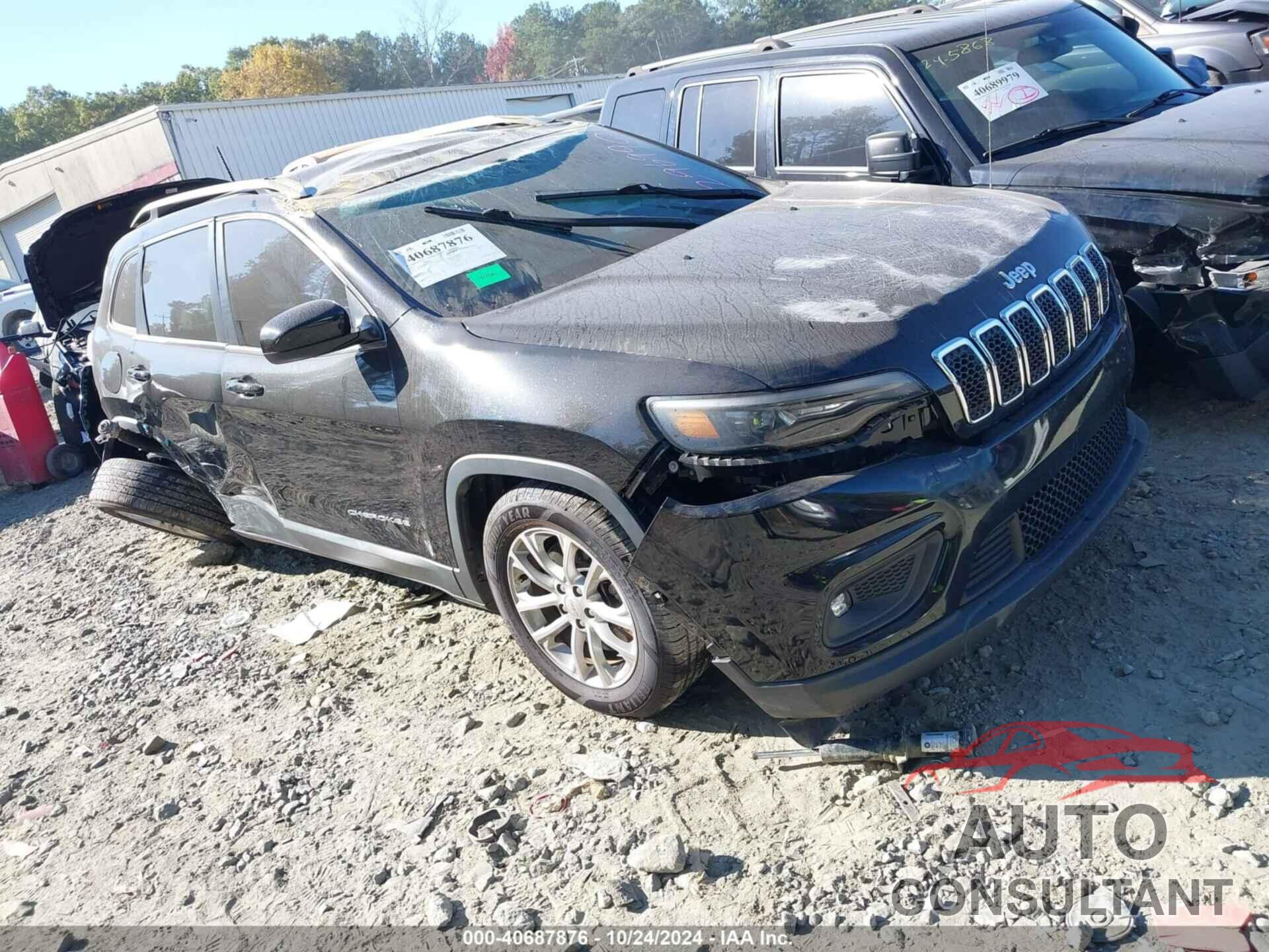 JEEP CHEROKEE 2019 - 1C4PJLCB8KD296990
