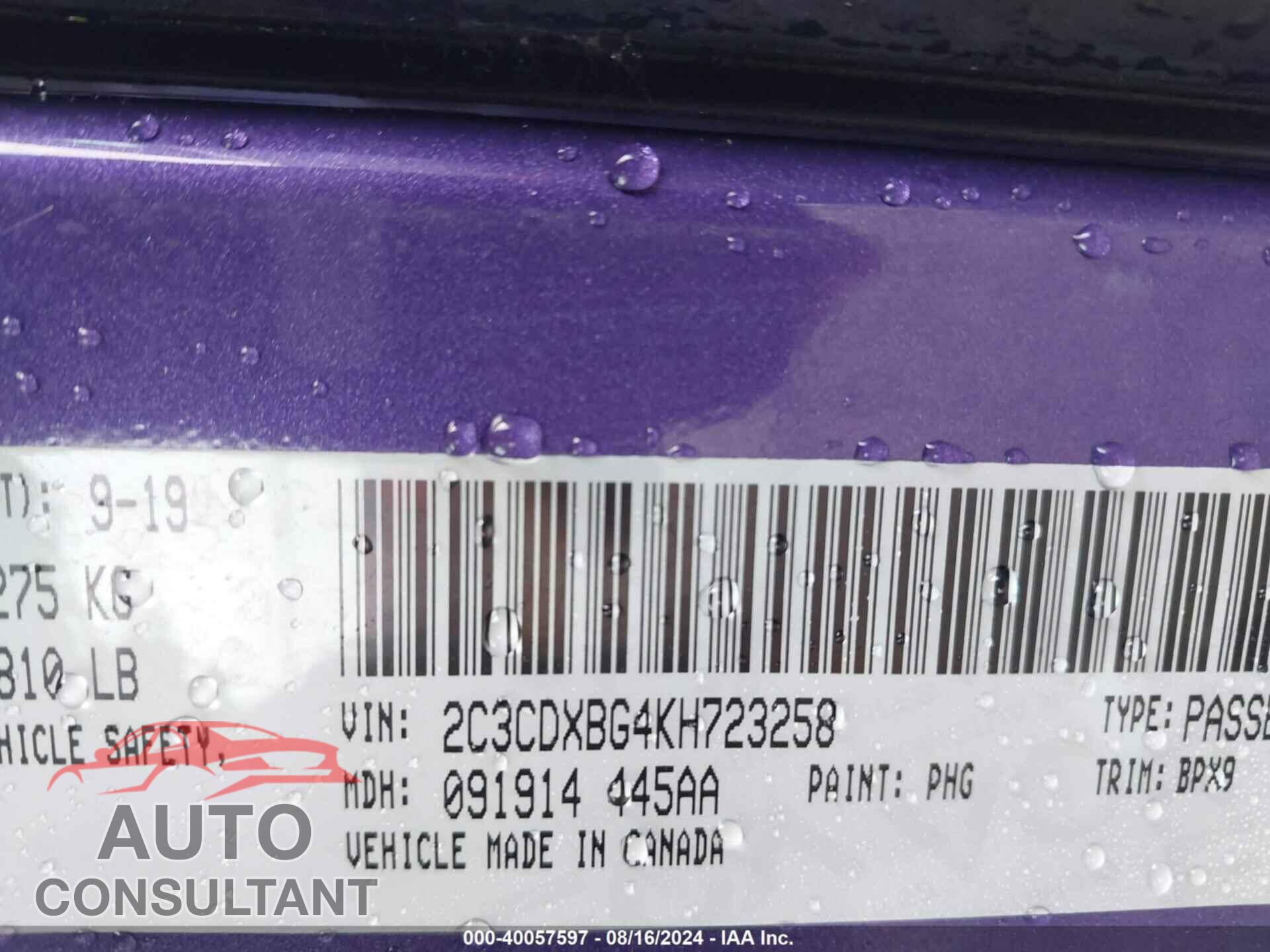 DODGE CHARGER 2019 - 2C3CDXBG4KH723258