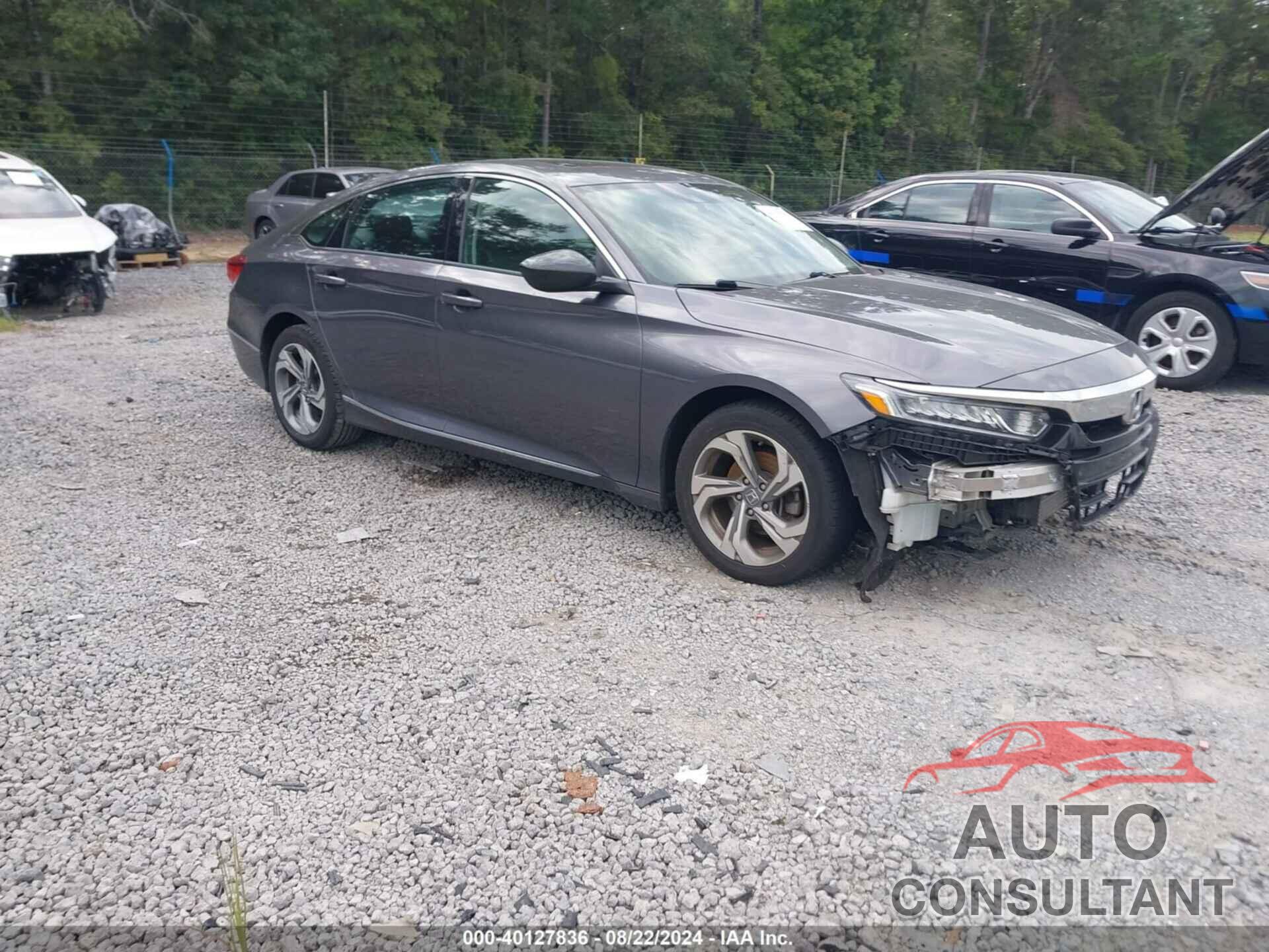 HONDA ACCORD 2019 - 1HGCV1F56KA121718