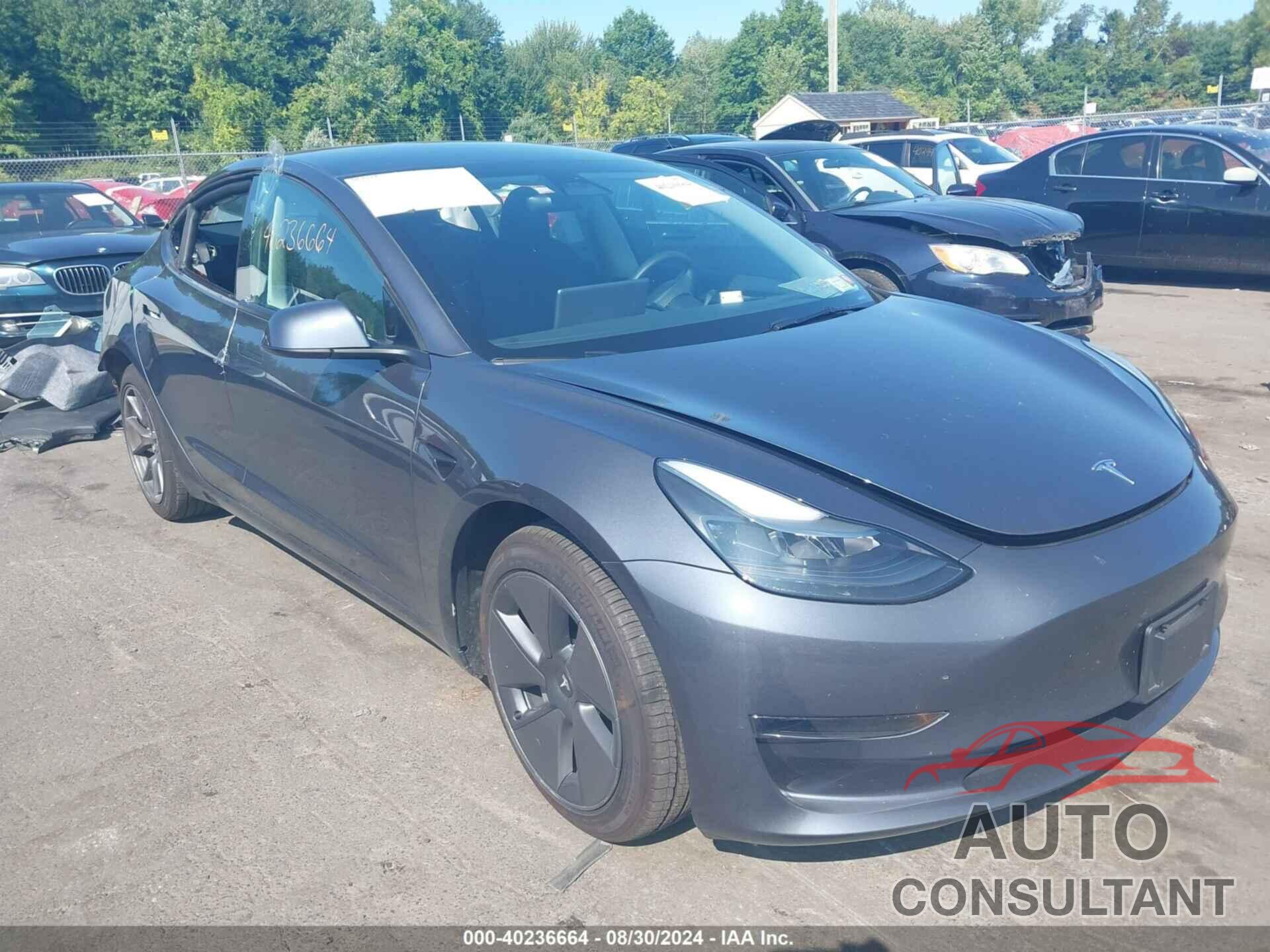 TESLA MODEL 3 2023 - 5YJ3E1EA2PF561947