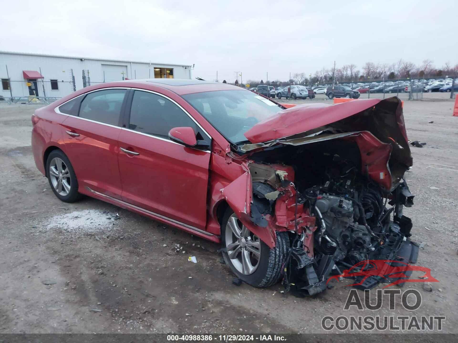 HYUNDAI SONATA 2019 - 5NPE34AF9KH820459