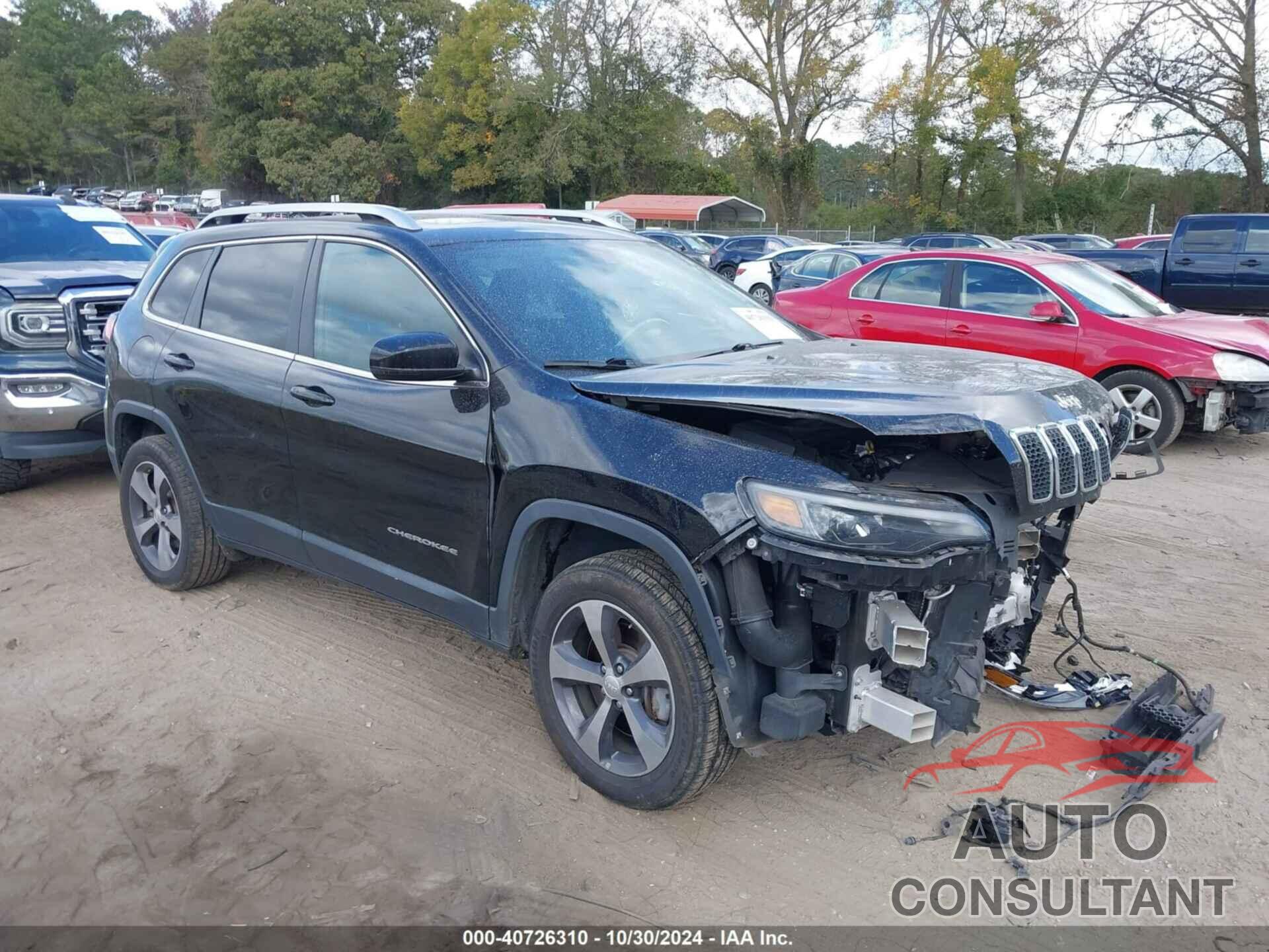 JEEP CHEROKEE 2019 - 1C4PJMDN8KD213914
