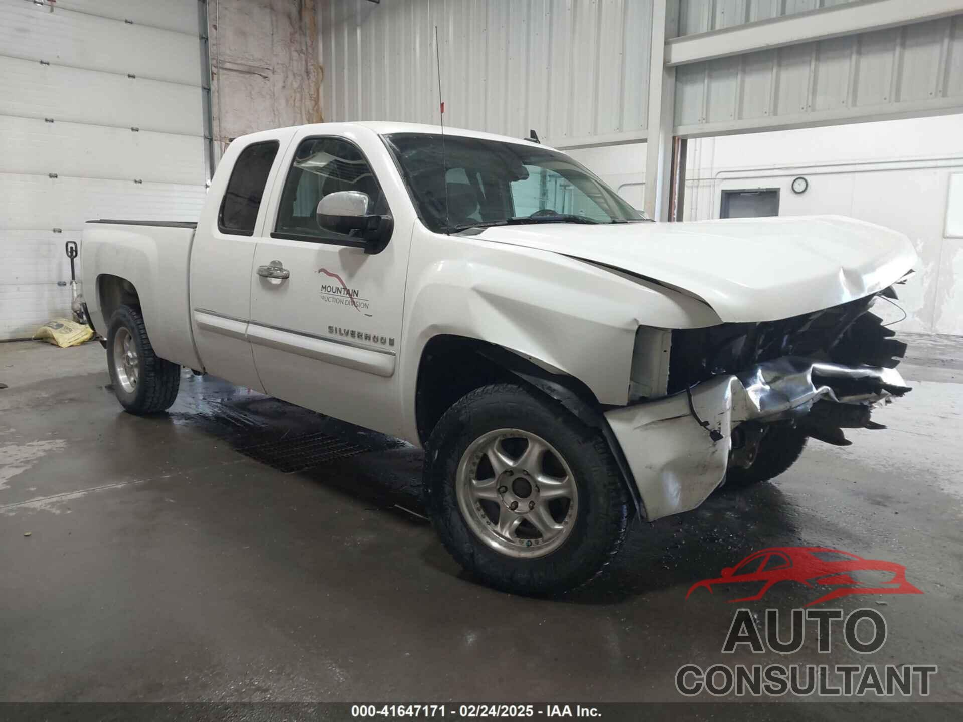 CHEVROLET SILVERADO 1500 2009 - 1GCEK29039Z273666