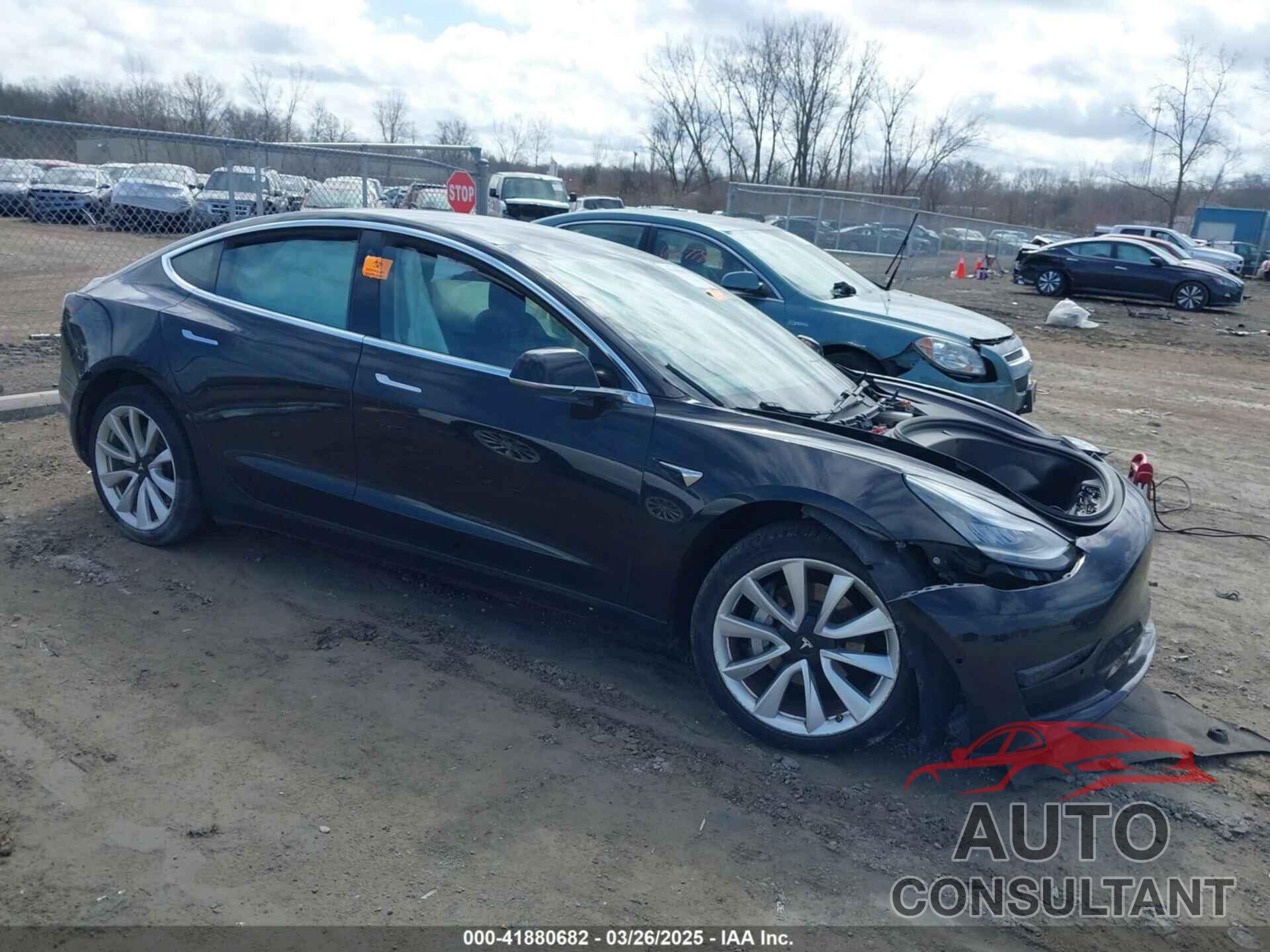 TESLA MODEL 3 2019 - 5YJ3E1EA5KF310896