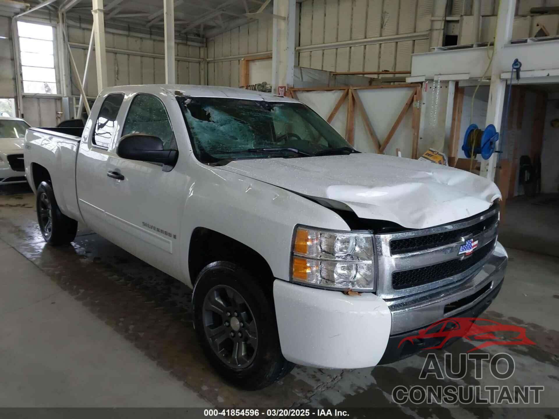 CHEVROLET SILVERADO 1500 2009 - 1GCEK19C19Z210232