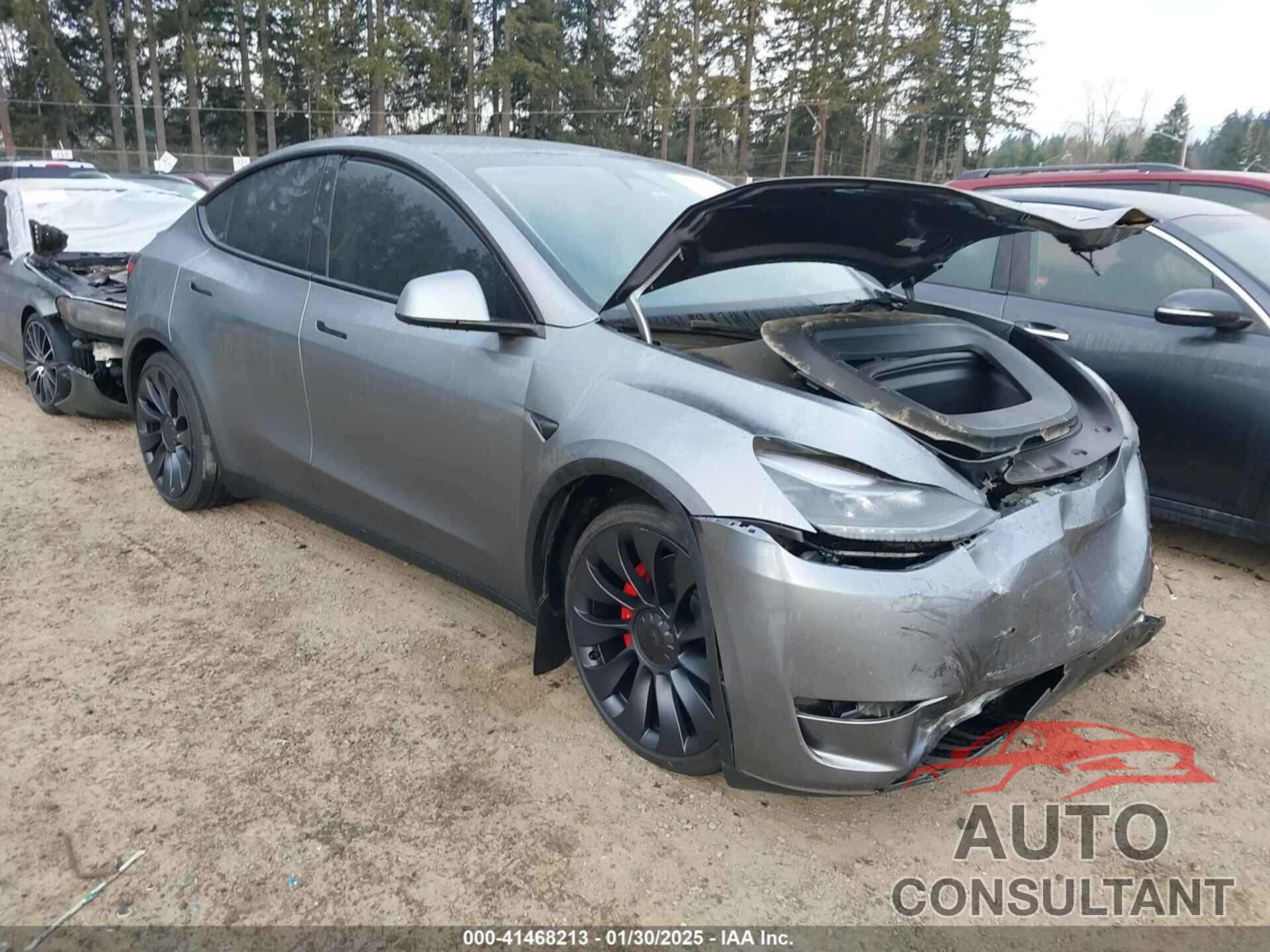 TESLA MODEL Y 2024 - 7SAYGDEF9RF109982