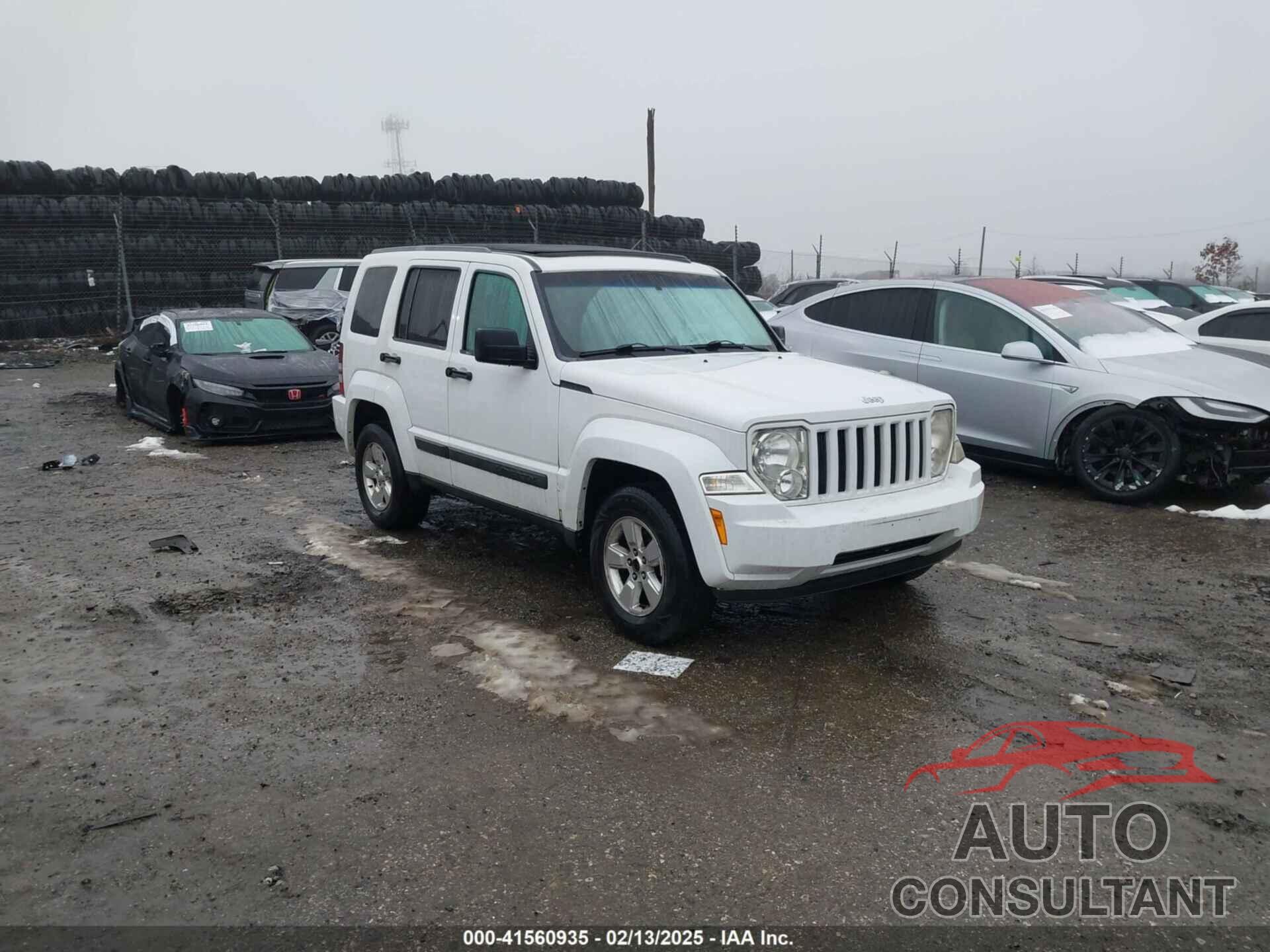 JEEP LIBERTY 2011 - 1J4PN2GK9BW583598
