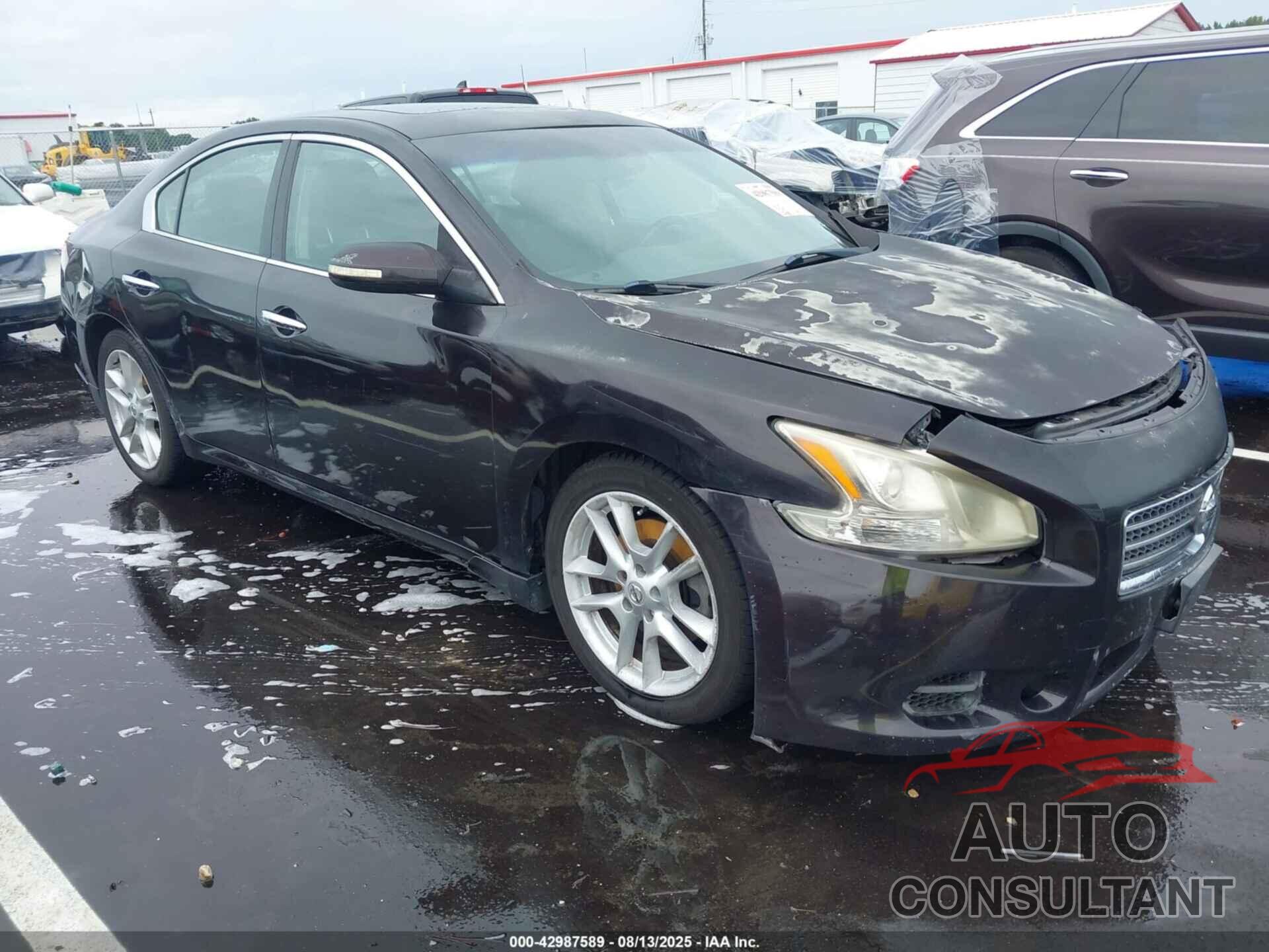 NISSAN MAXIMA 2011 - 1N4AA5AP9BC832955